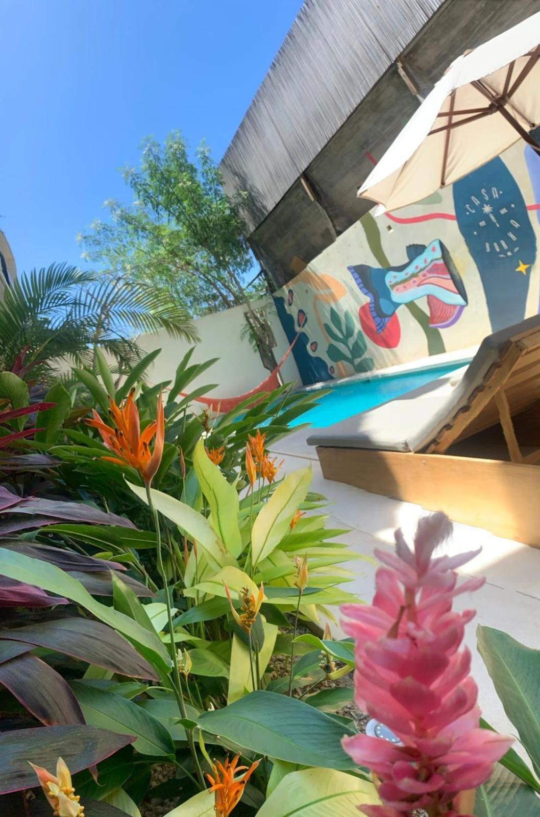 Casa Borka LUXURY FULLY FURNISHED BEACH CONDOS WITH POOL