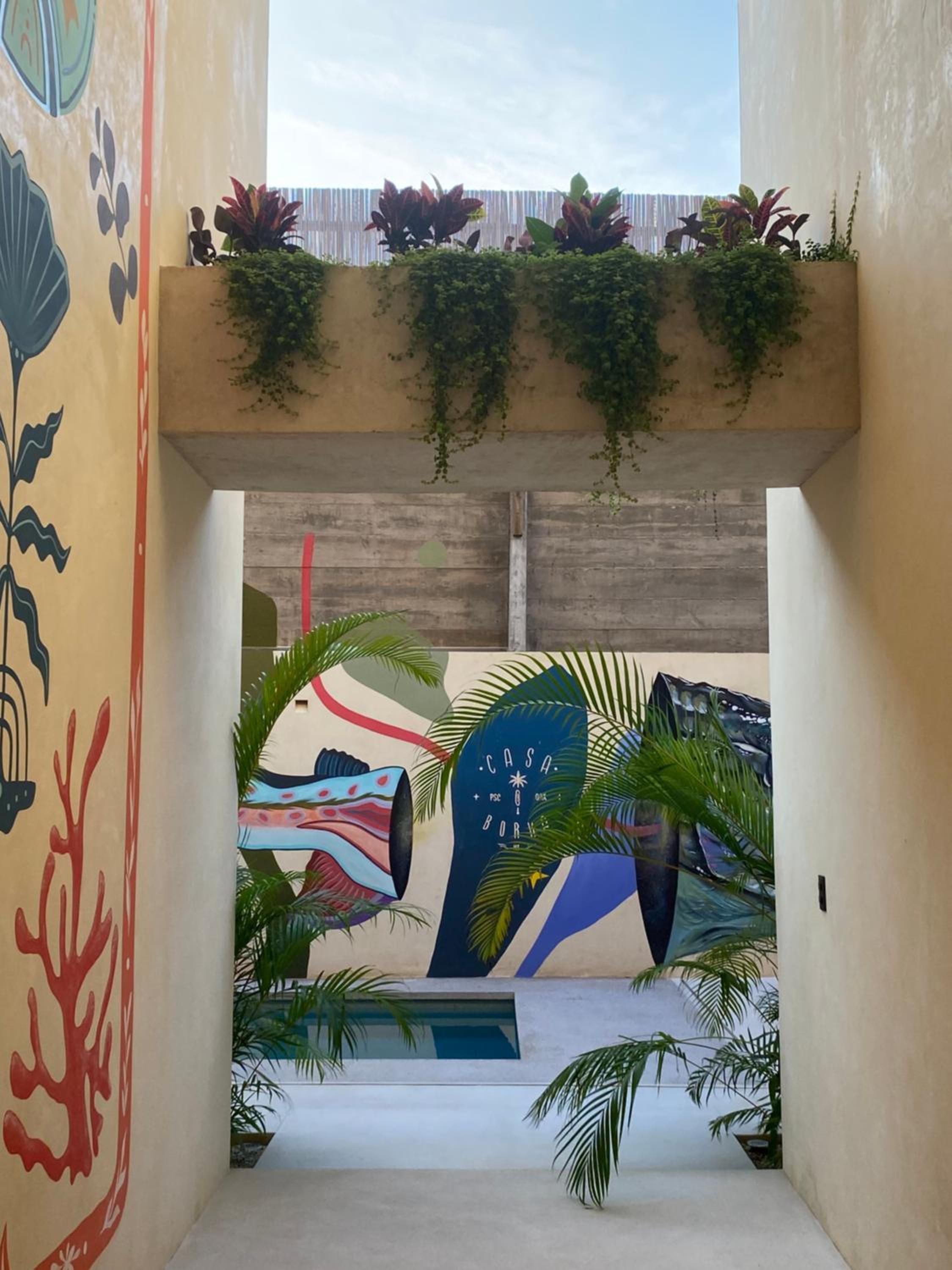 Casa Borka LUXURY FULLY FURNISHED BEACH CONDOS WITH POOL