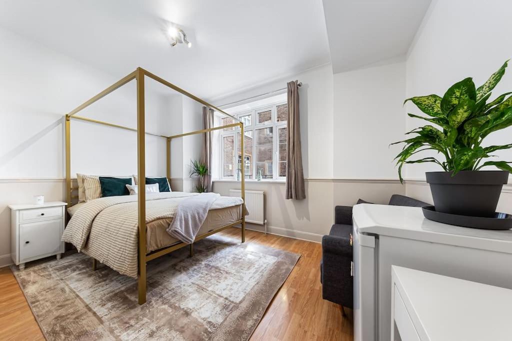 Brand New 3 Bedroom flat in Central London