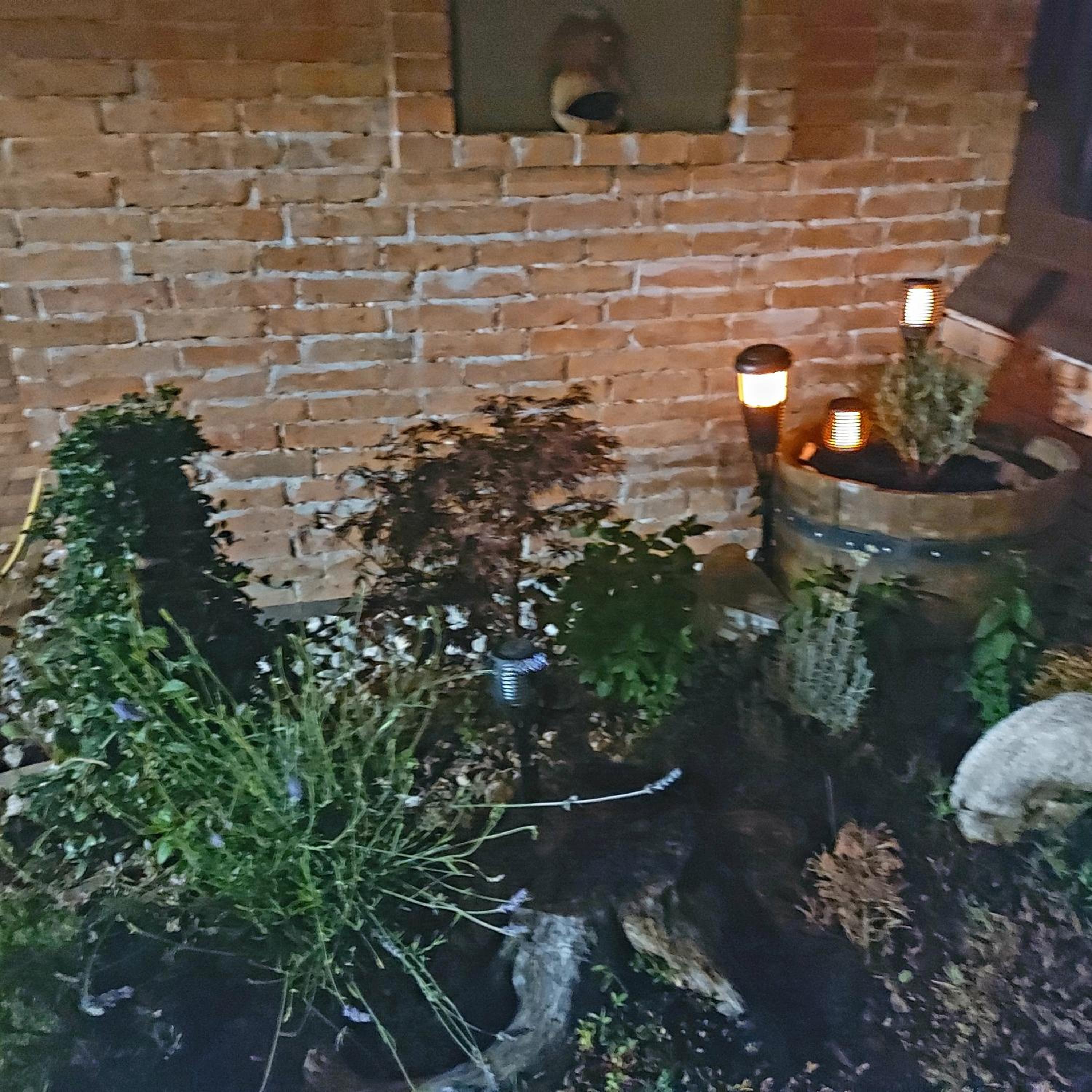 Photo 36
