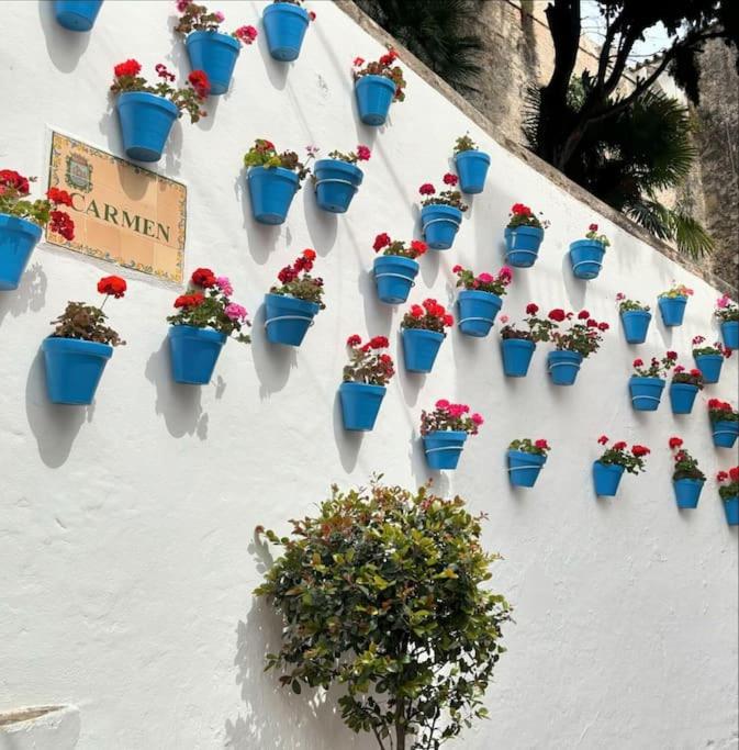 CALMO MARBELLA, Exclusivo, céntrico y con piscina view 5