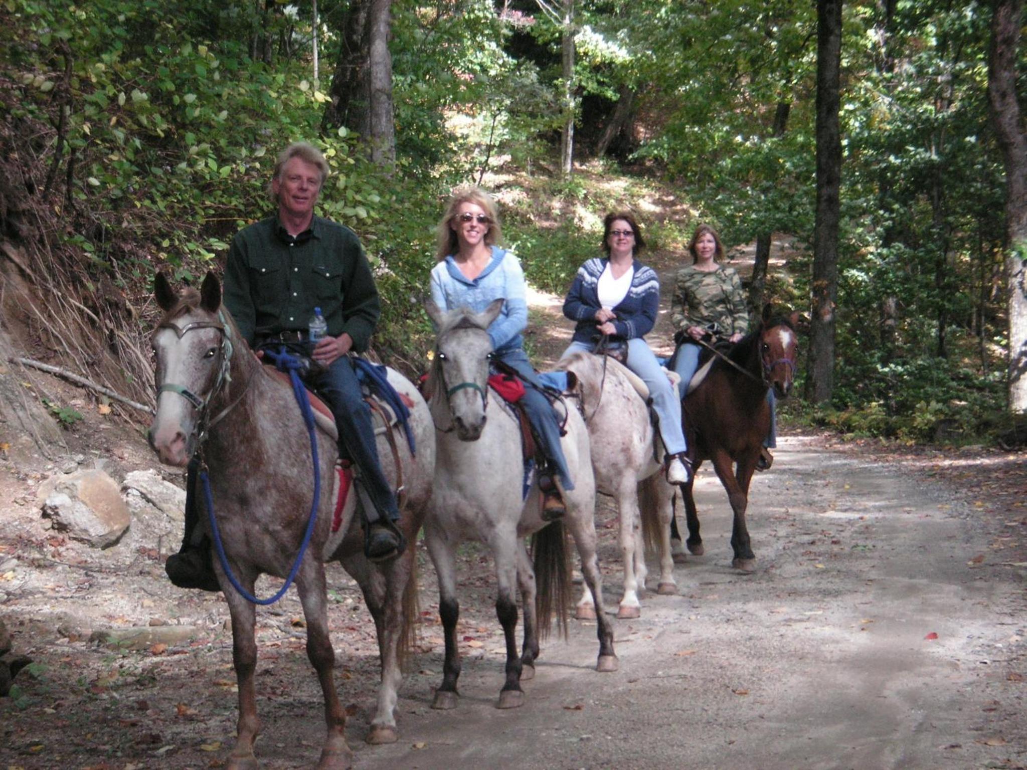 Arrowmont Stables & Cabins