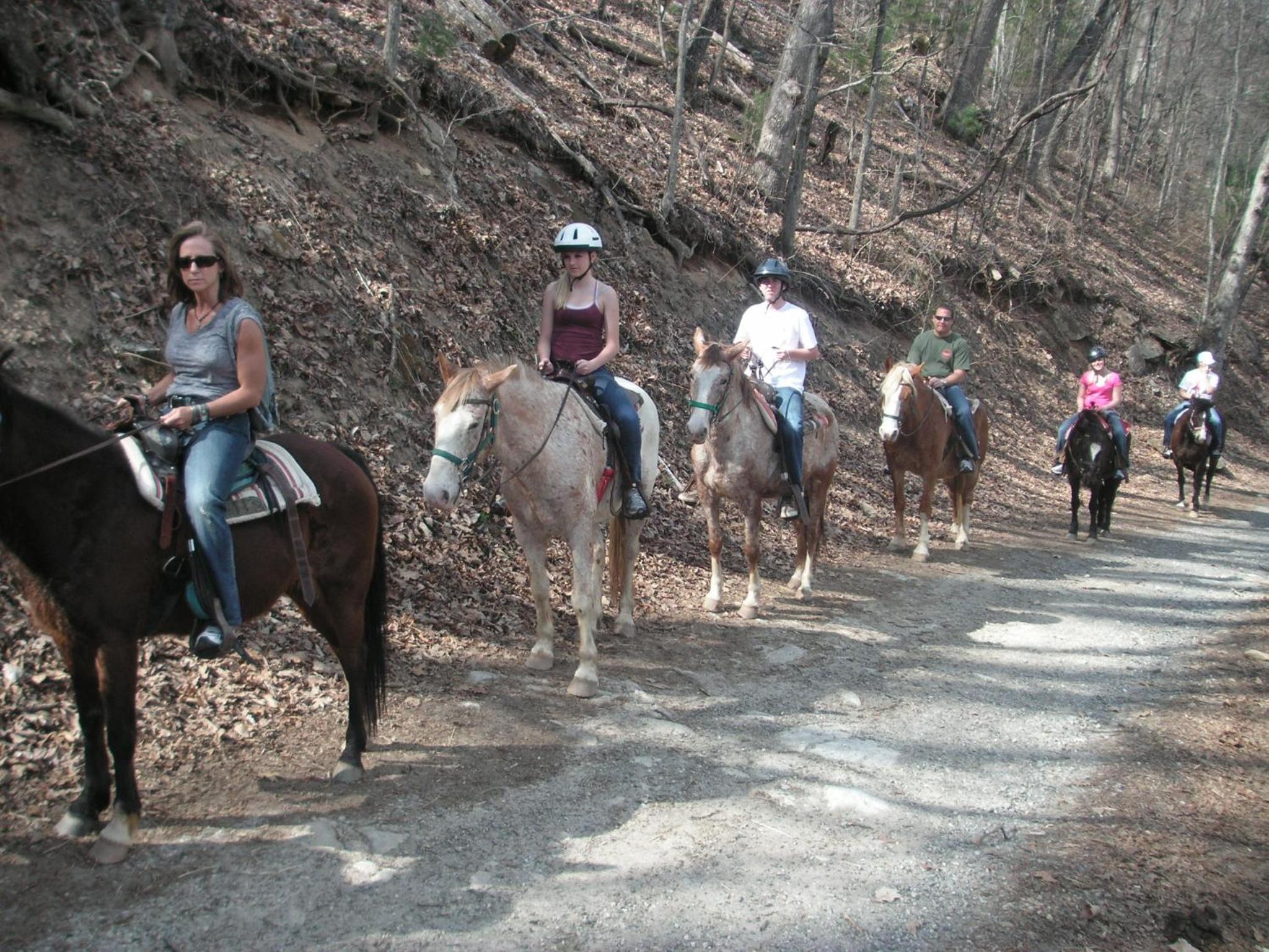 Arrowmont Stables & Cabins