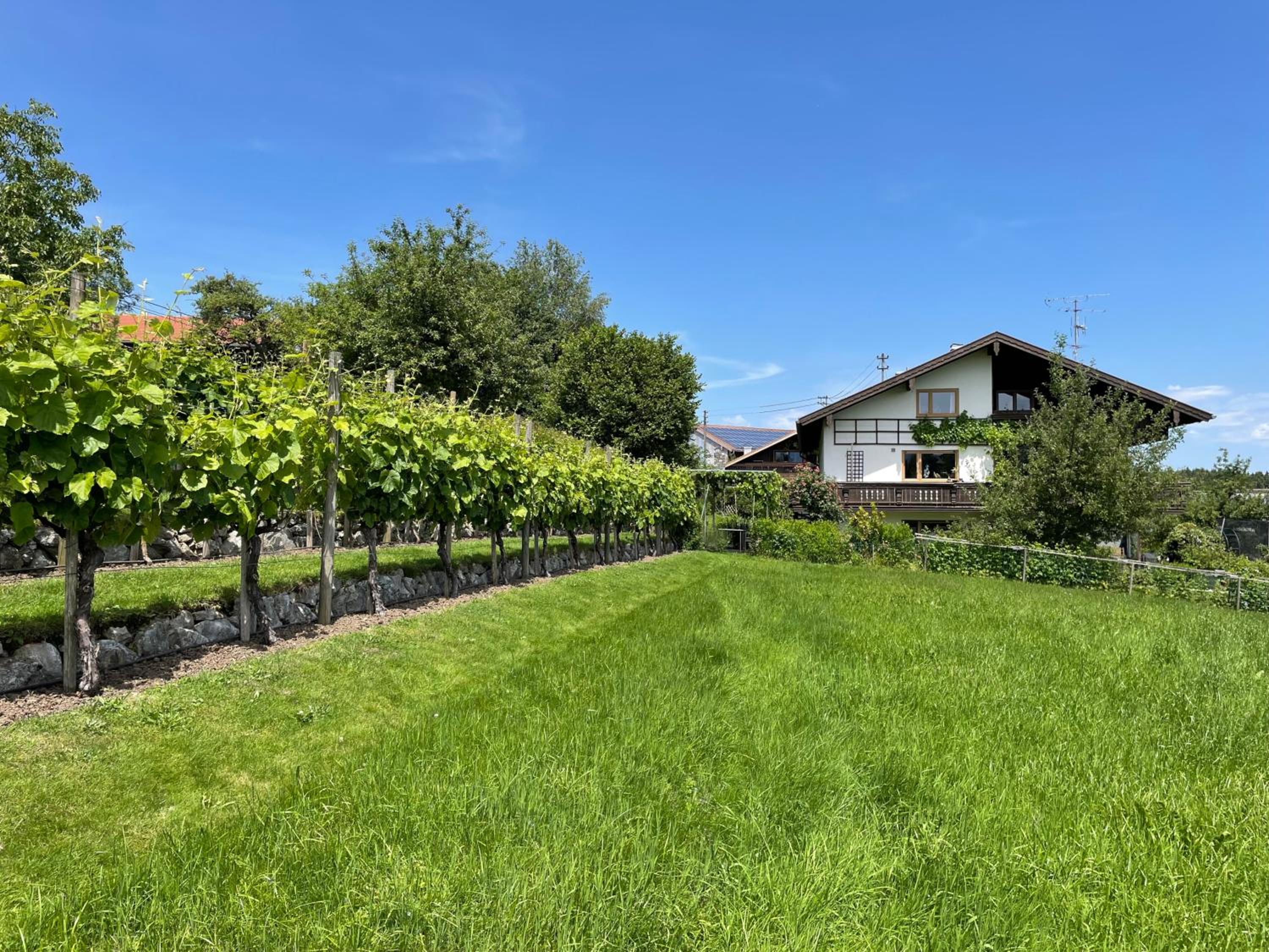 Apartment Am Weinberg