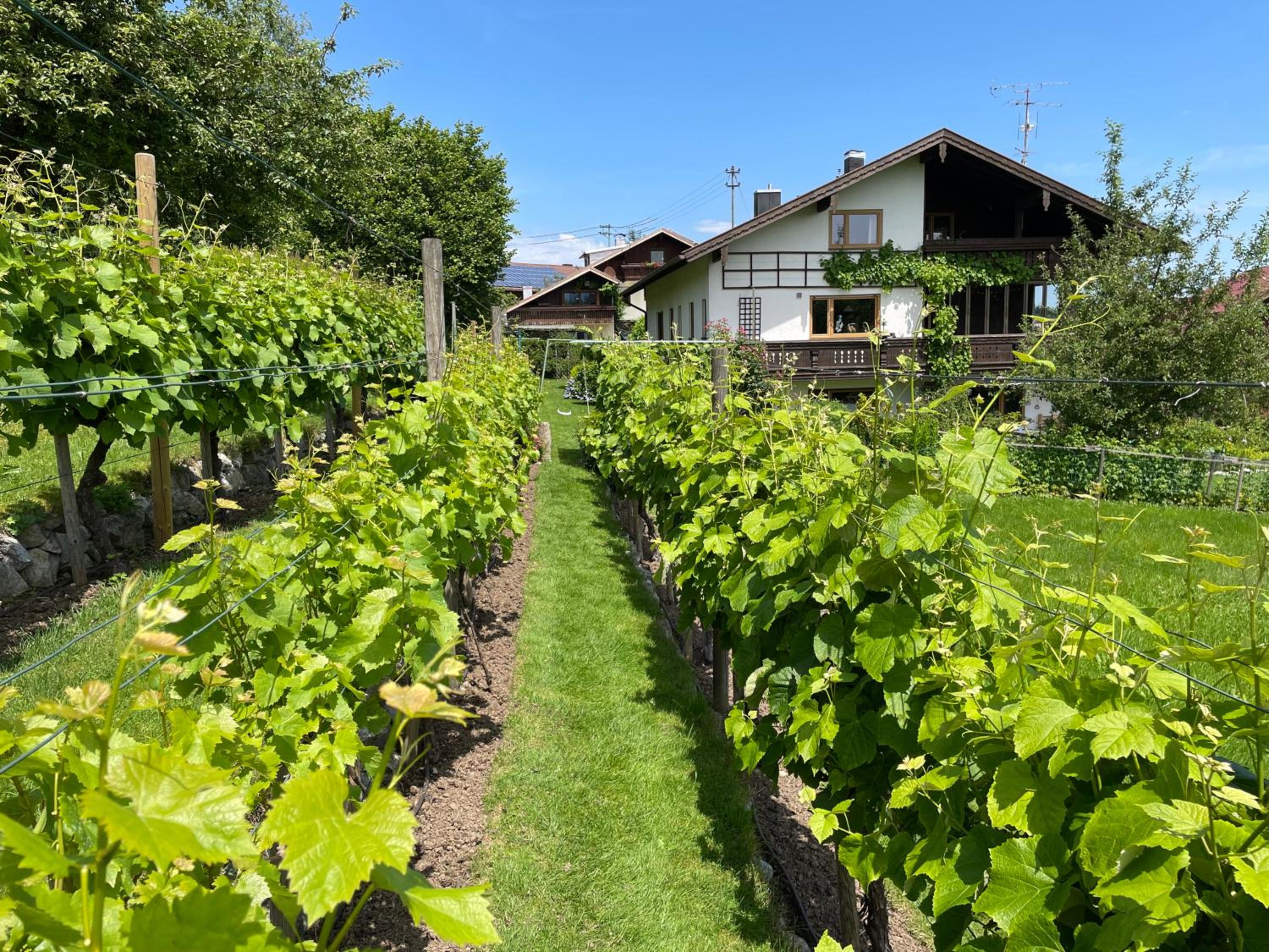 Apartment Am Weinberg