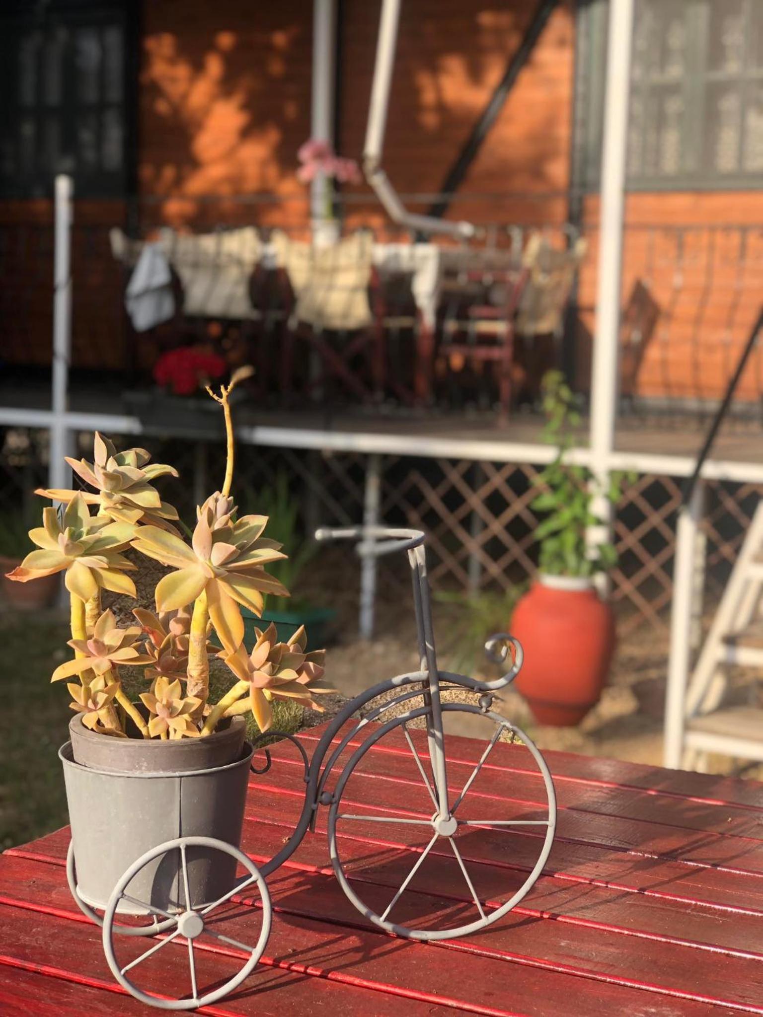 Photo 18