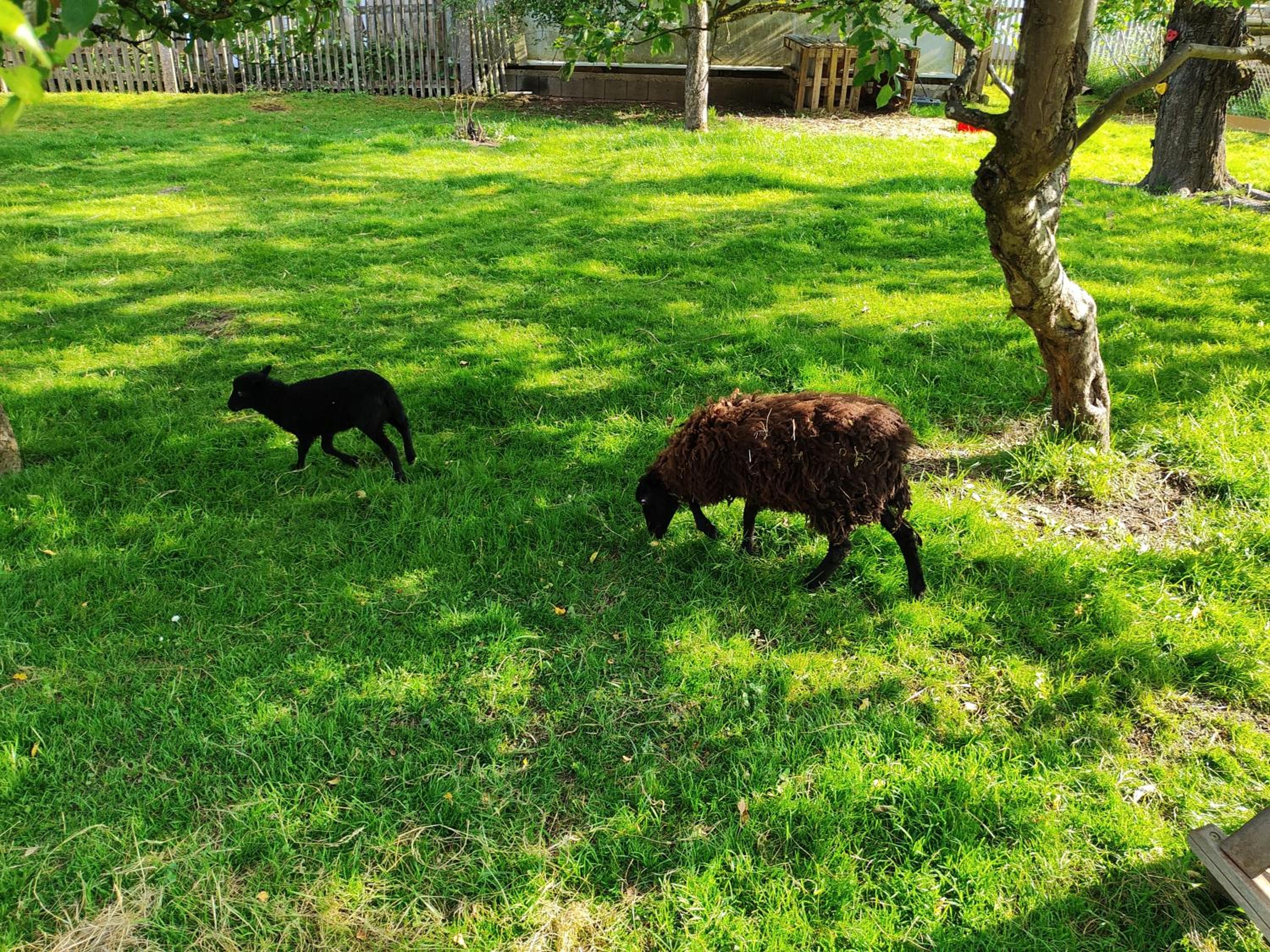 Seßles Waldhäuschen Dietzhausen