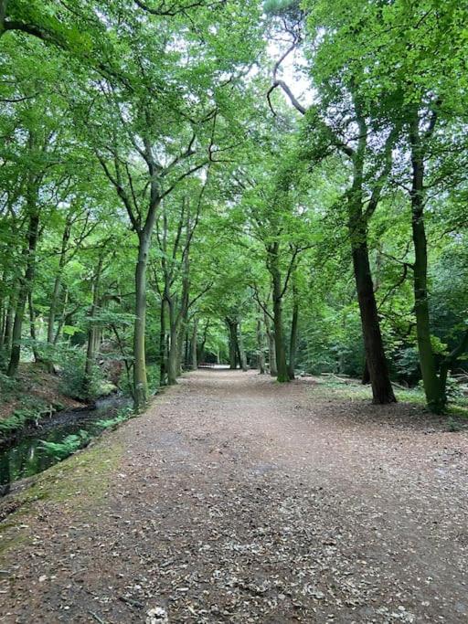 Photo 24