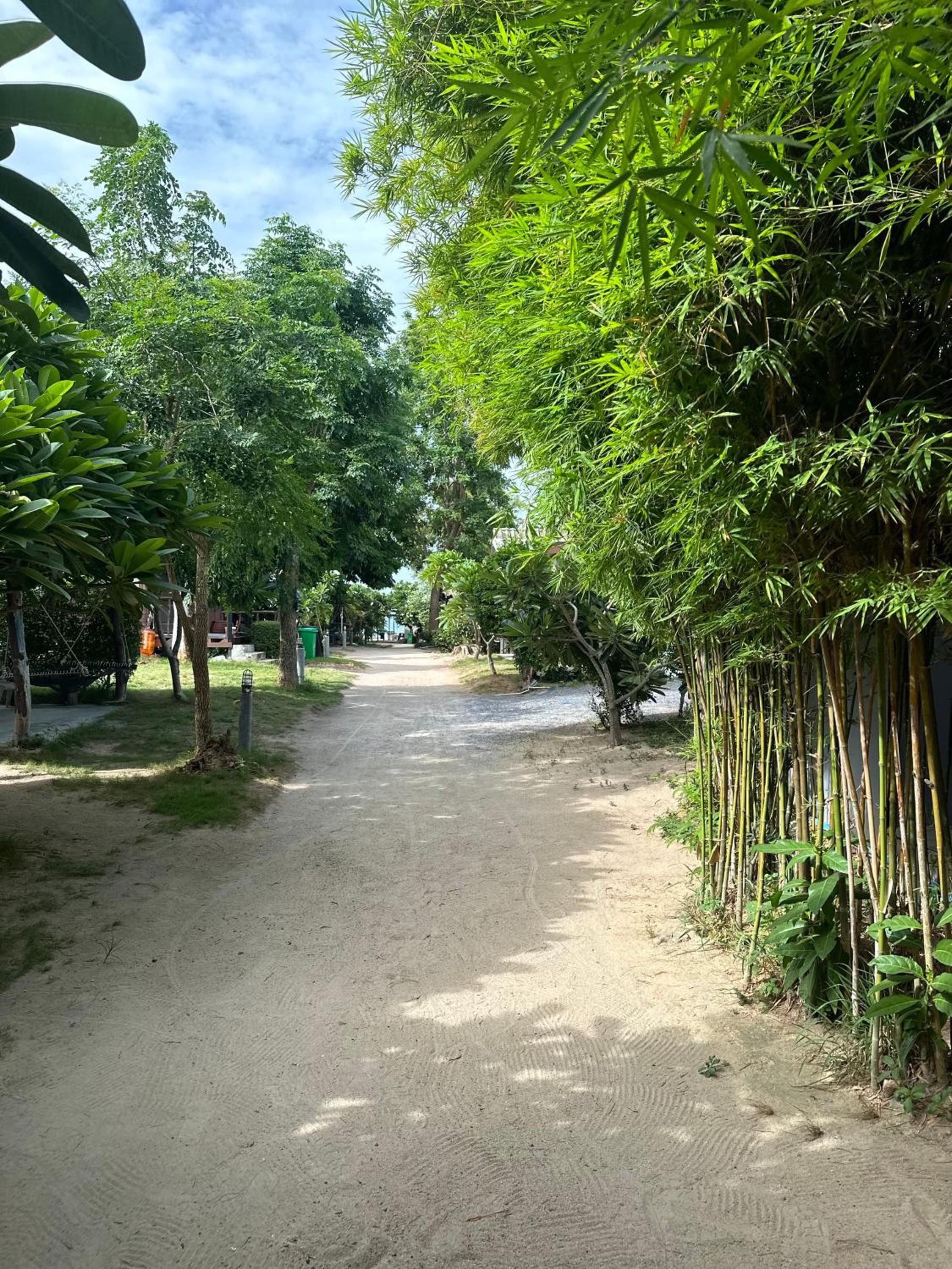The Cosy Koh Phangan and Restaurant