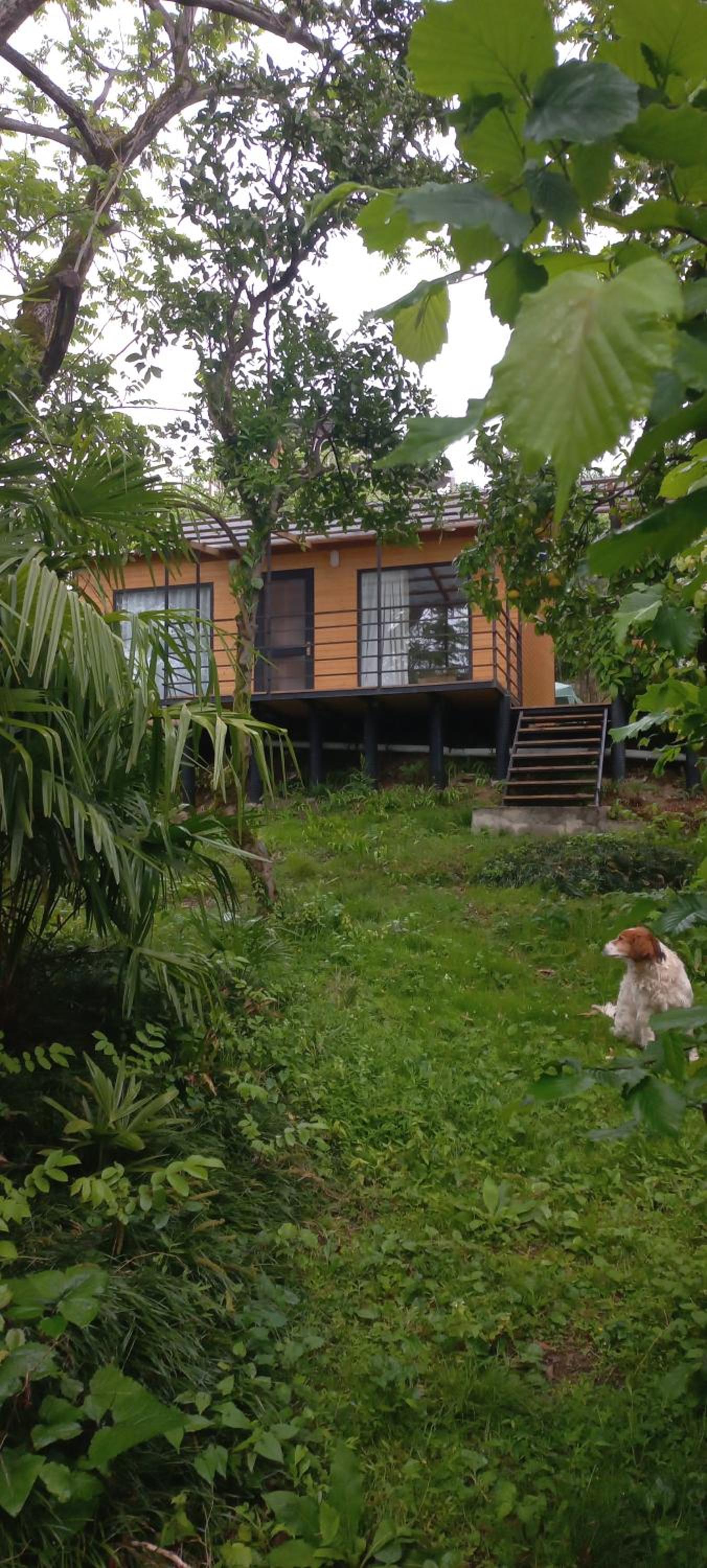 ANANIA Cottage