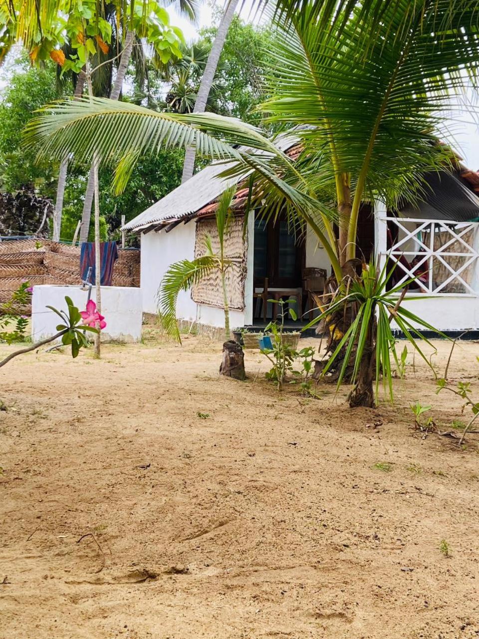 Riverpark Guesthouse Arugambay