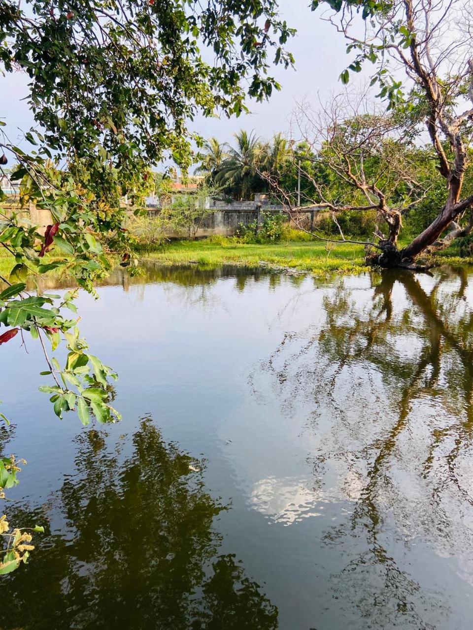 Riverpark Guesthouse Arugambay