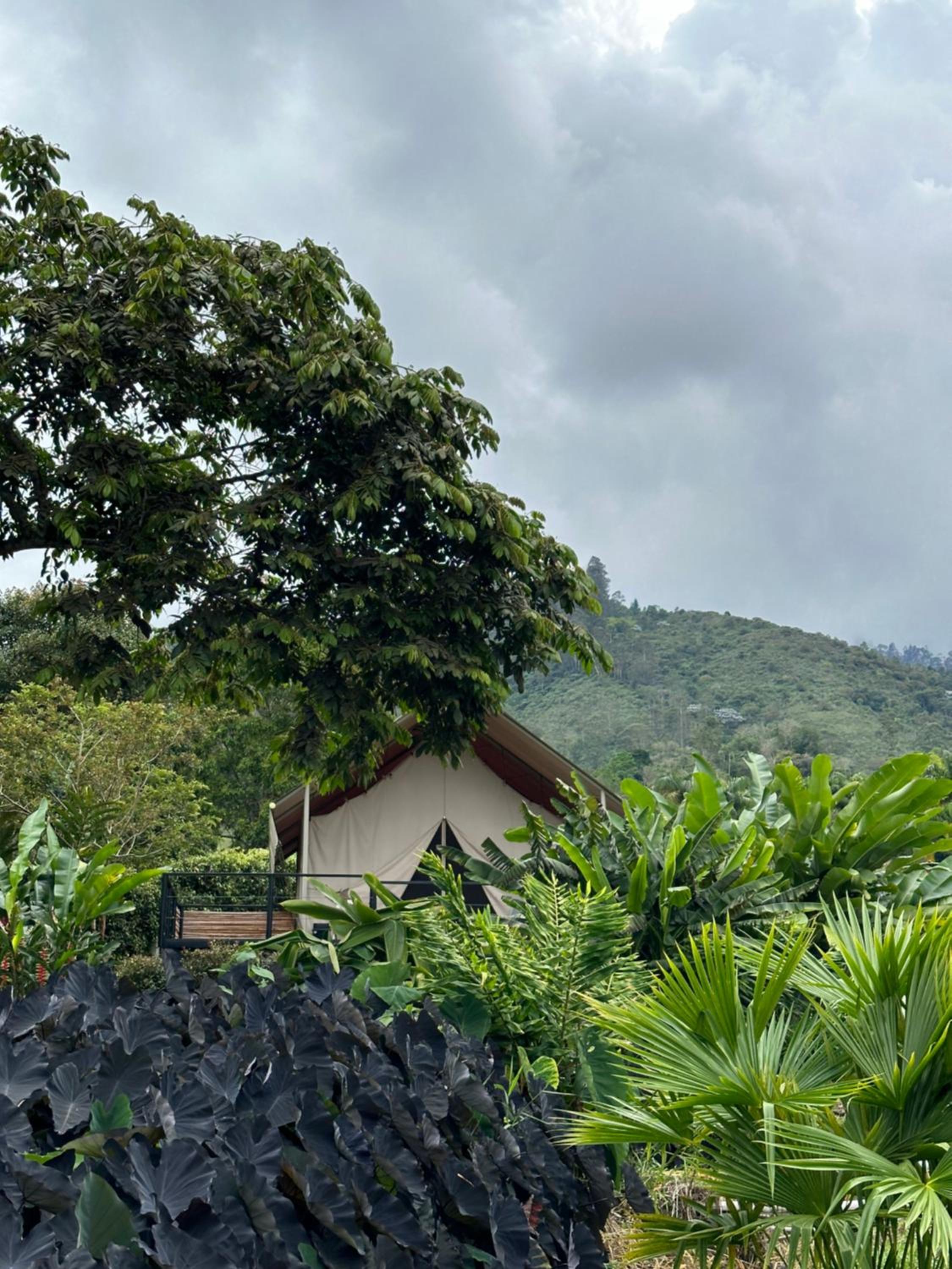 Glamping Las Rocas