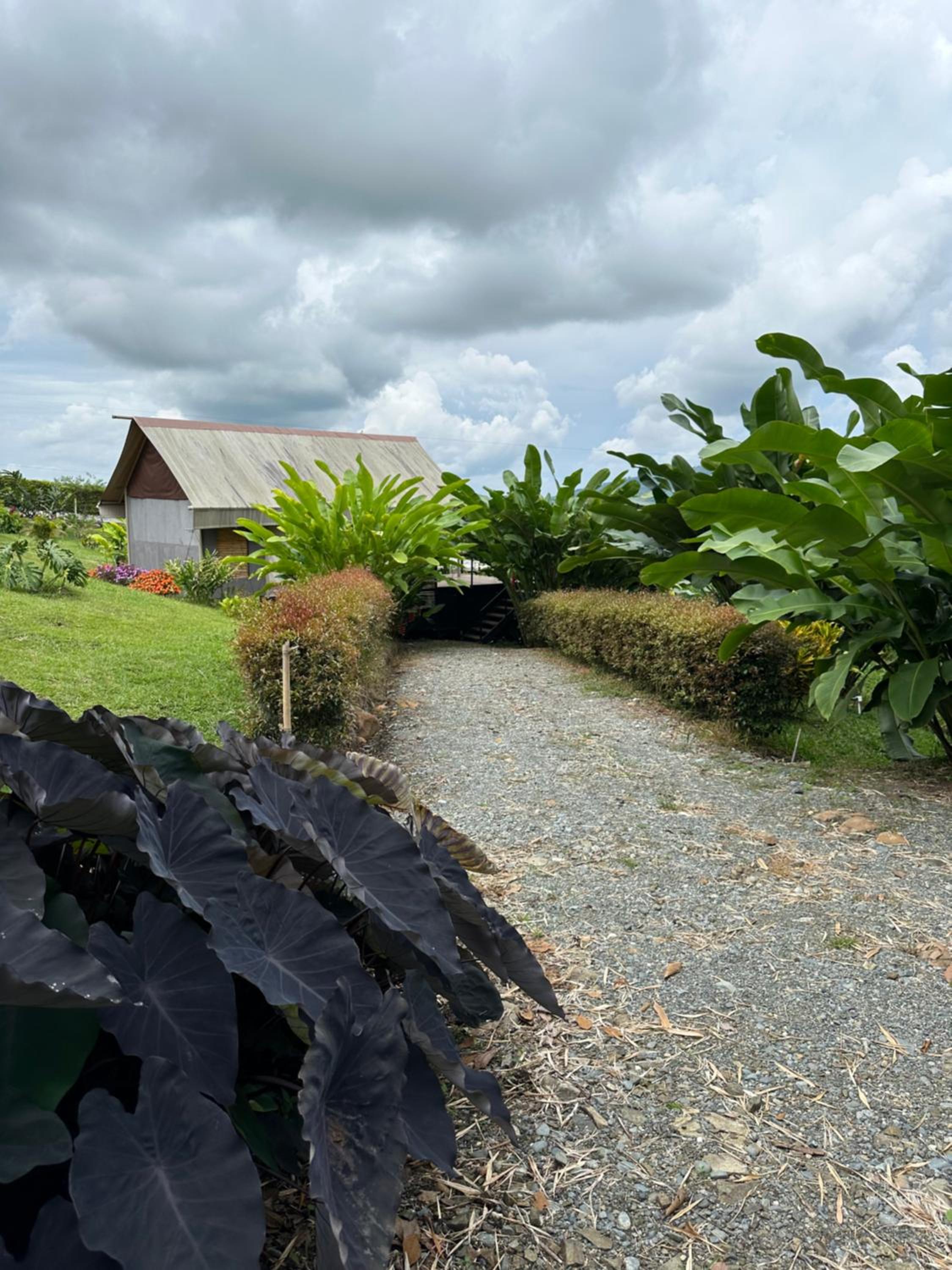 Glamping Las Rocas