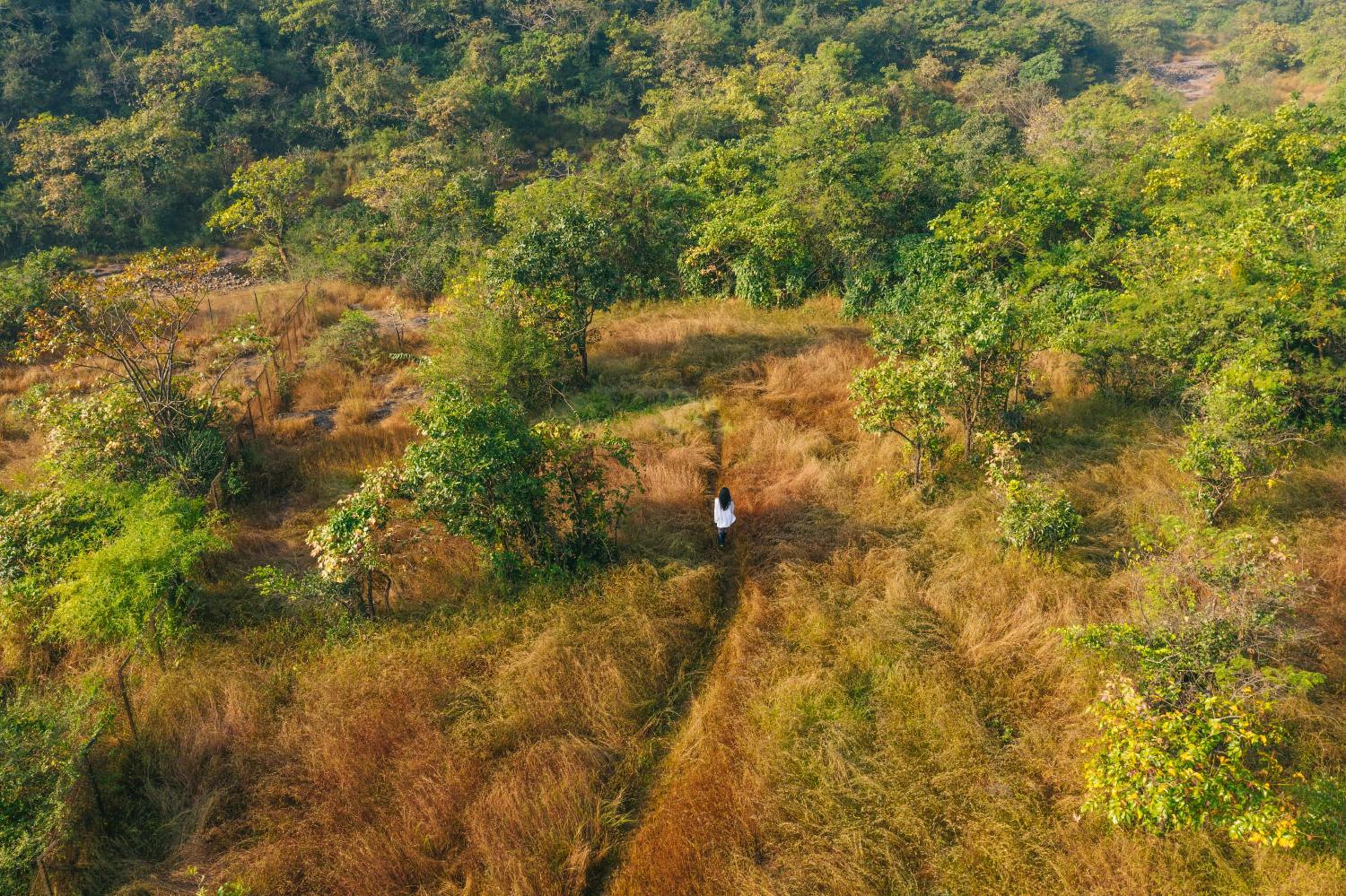 Dharana at Shillim - Luxury Wellbeing Retreat