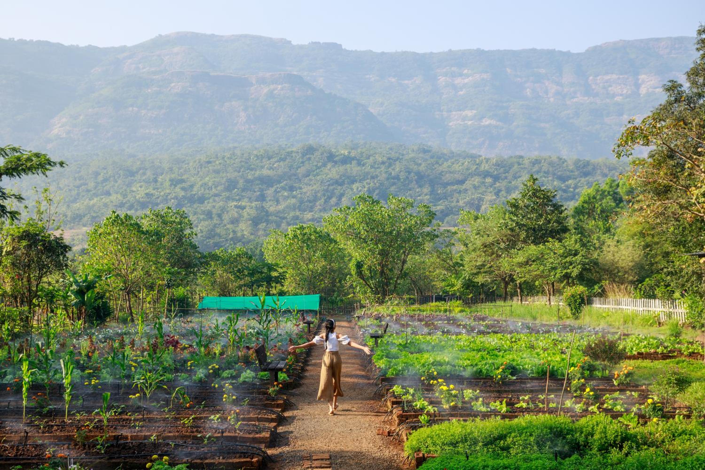 Dharana at Shillim - Luxury Wellbeing Retreat