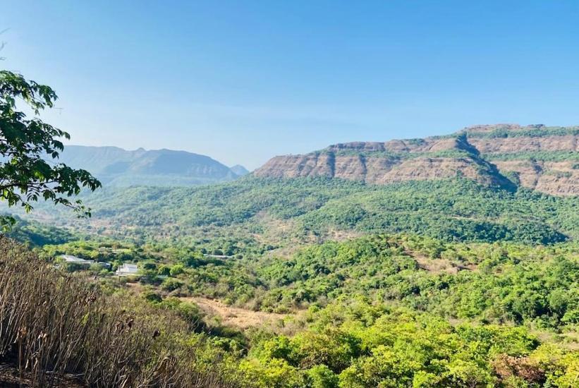 Dharana at Shillim - Luxury Wellbeing Retreat
