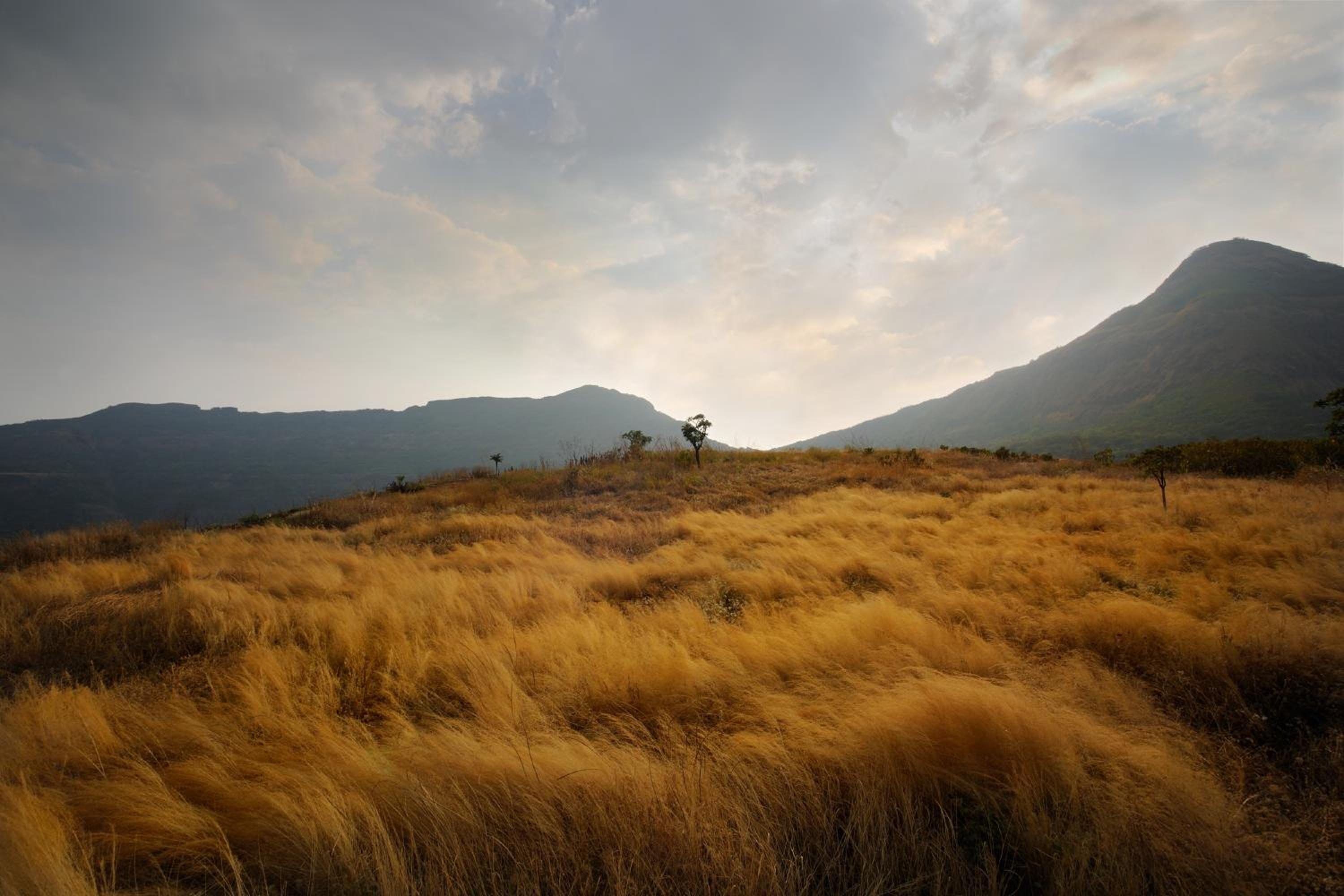 Dharana at Shillim - Luxury Wellbeing Retreat