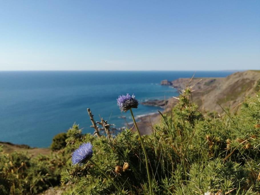 Kiberick Cottage at Crackington Haven, near Bude and Boscastle, Cornwall view 2