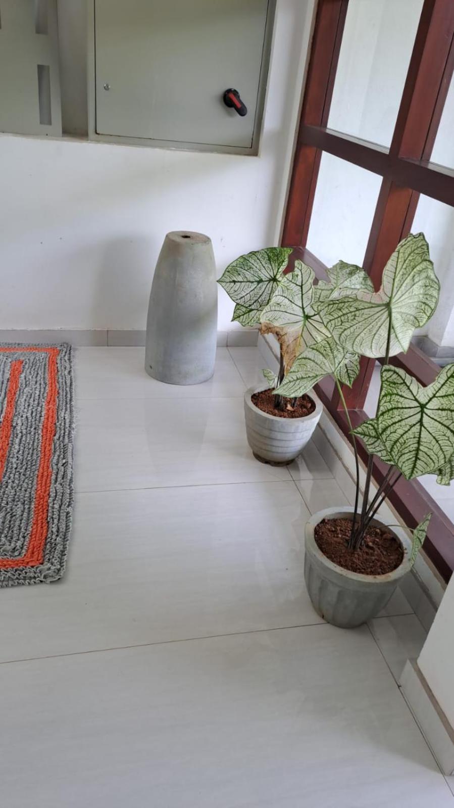 Inn Viara view 2