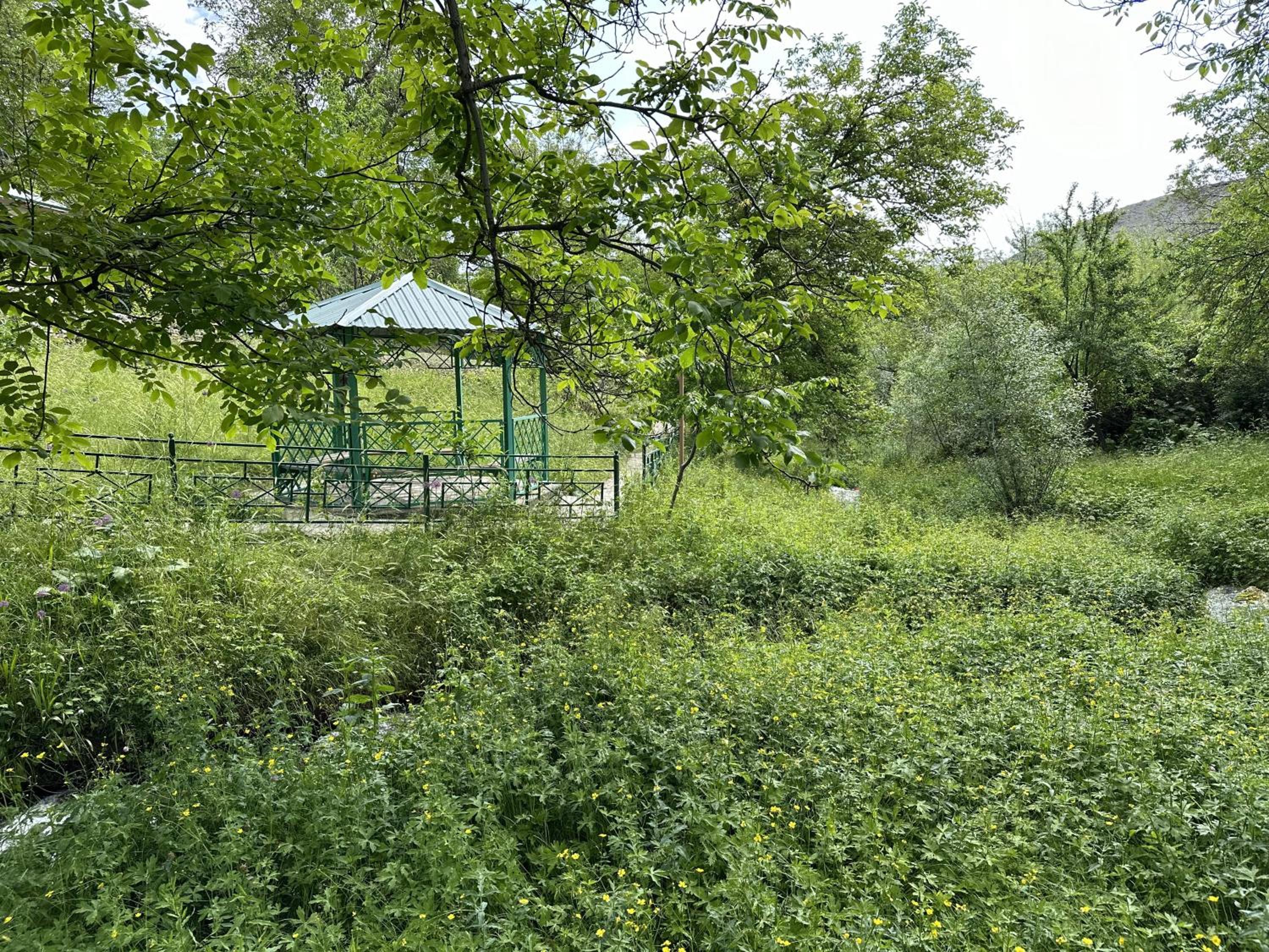 Photo 21