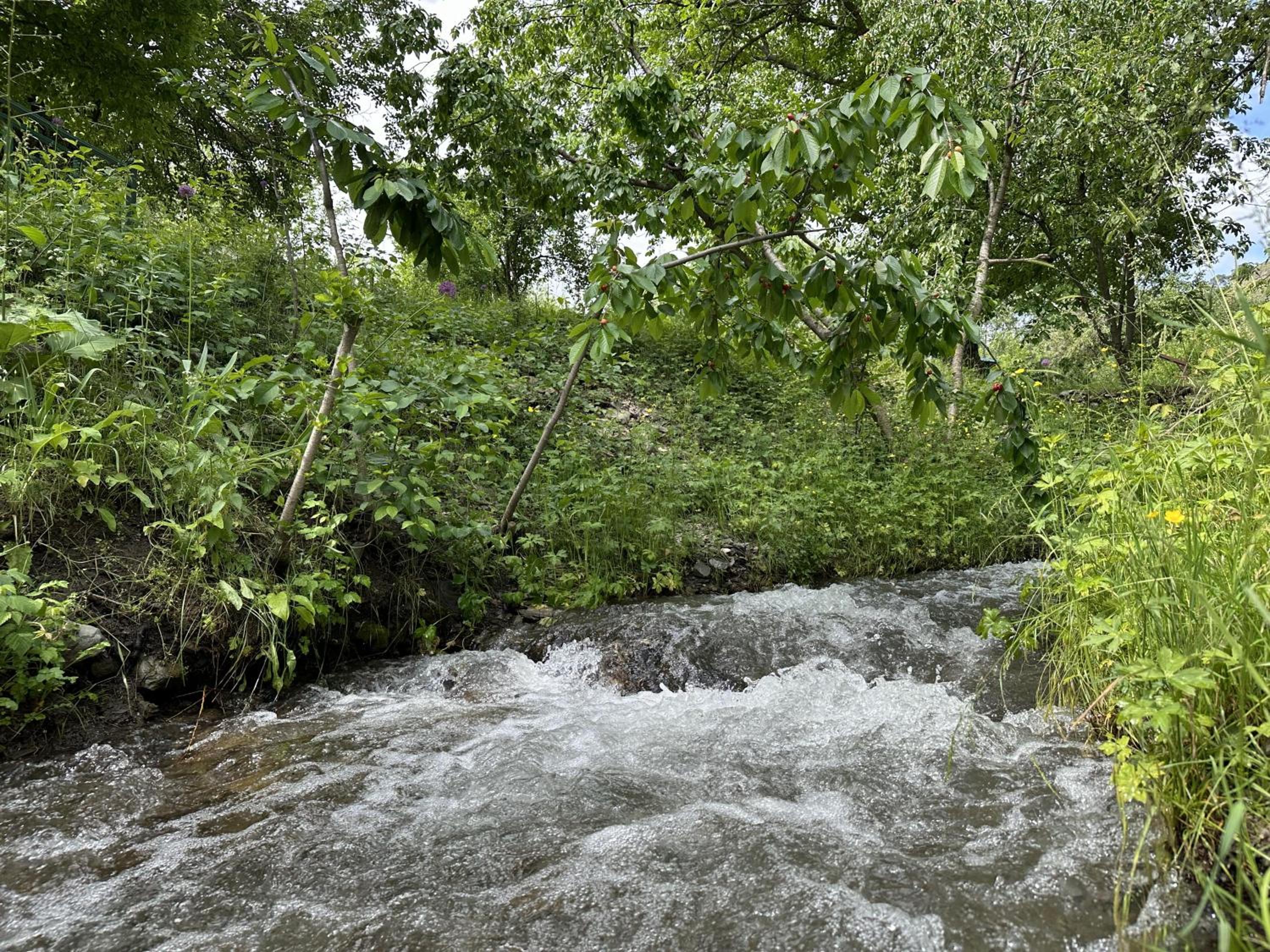 Photo 22