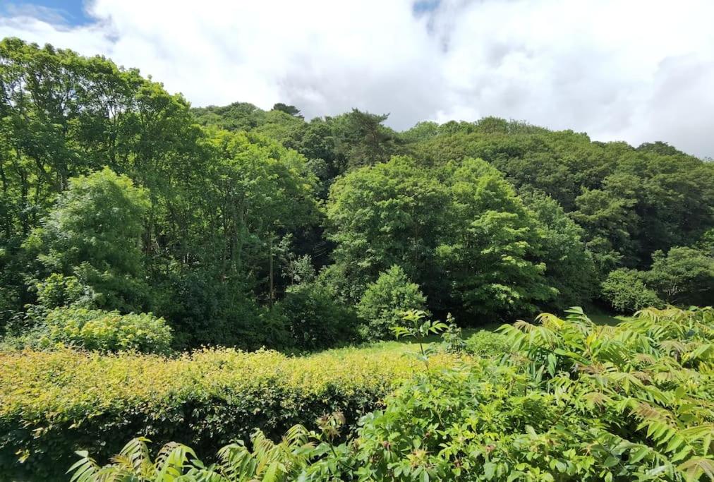 Parada Cottage at Crackington Haven, near Bude and Boscastle, Cornwall