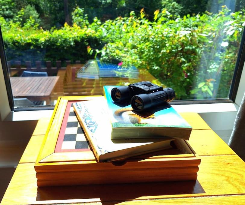 Photo 8