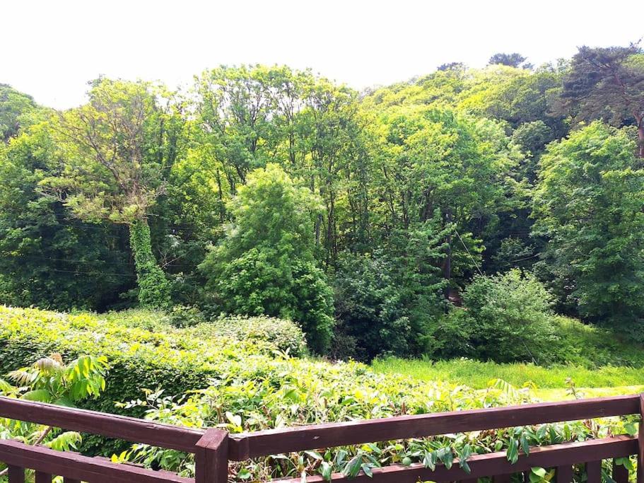 Parada Cottage at Crackington Haven, near Bude and Boscastle, Cornwall