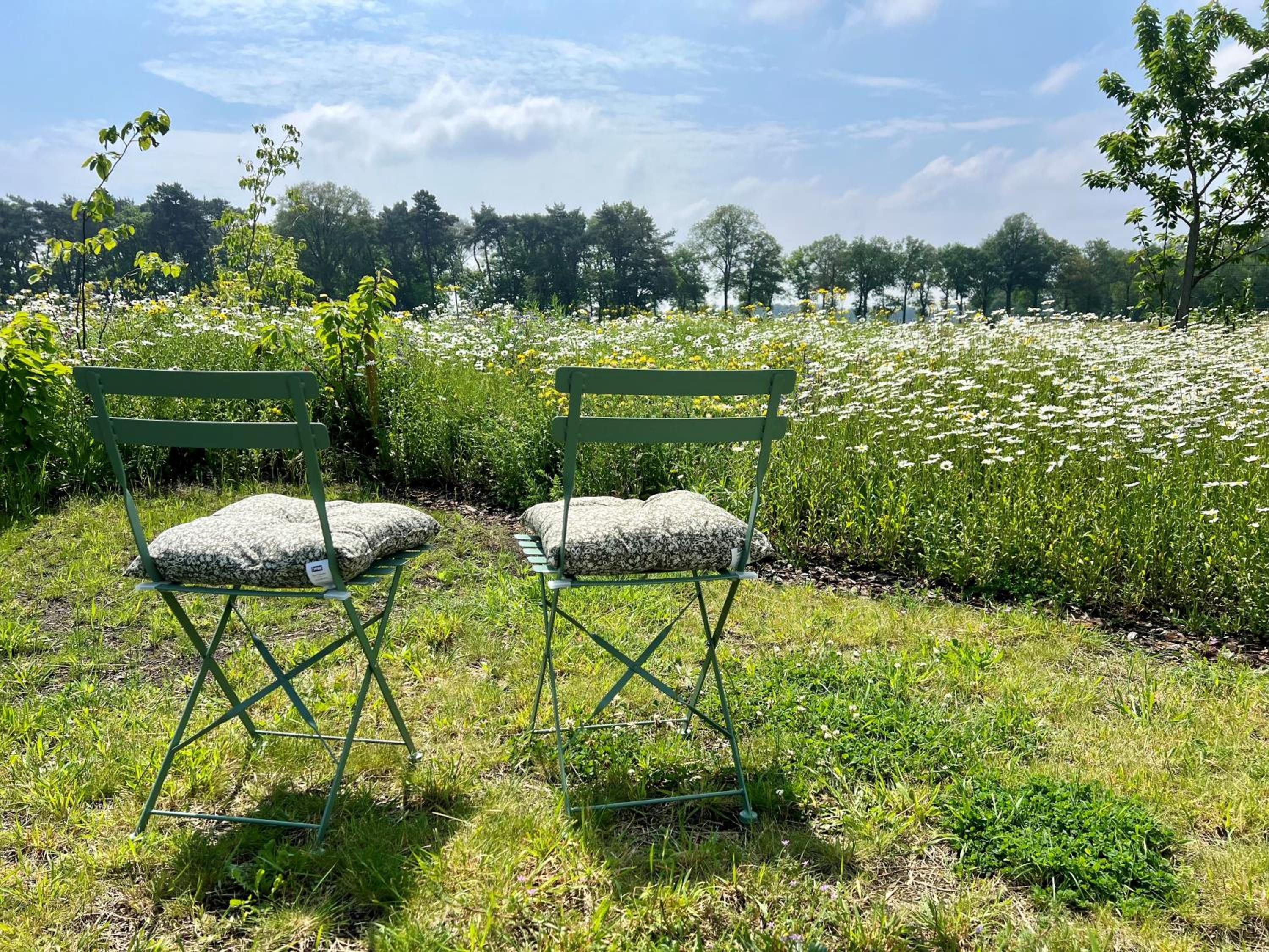 Weidezicht view 5