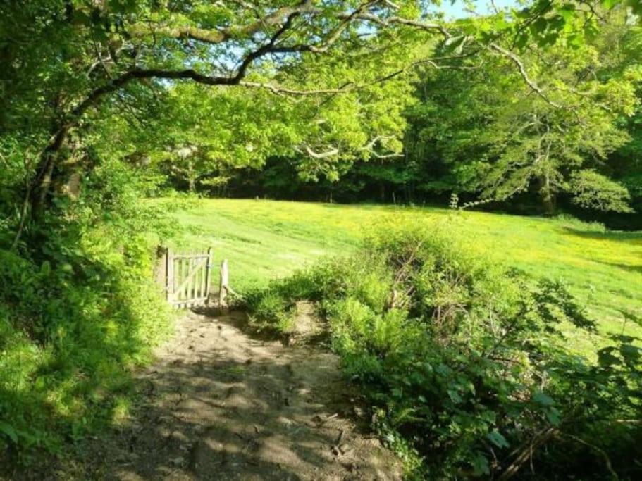 Bantry Cottage at Crackington Haven, near Bude and Boscastle, Cornwall