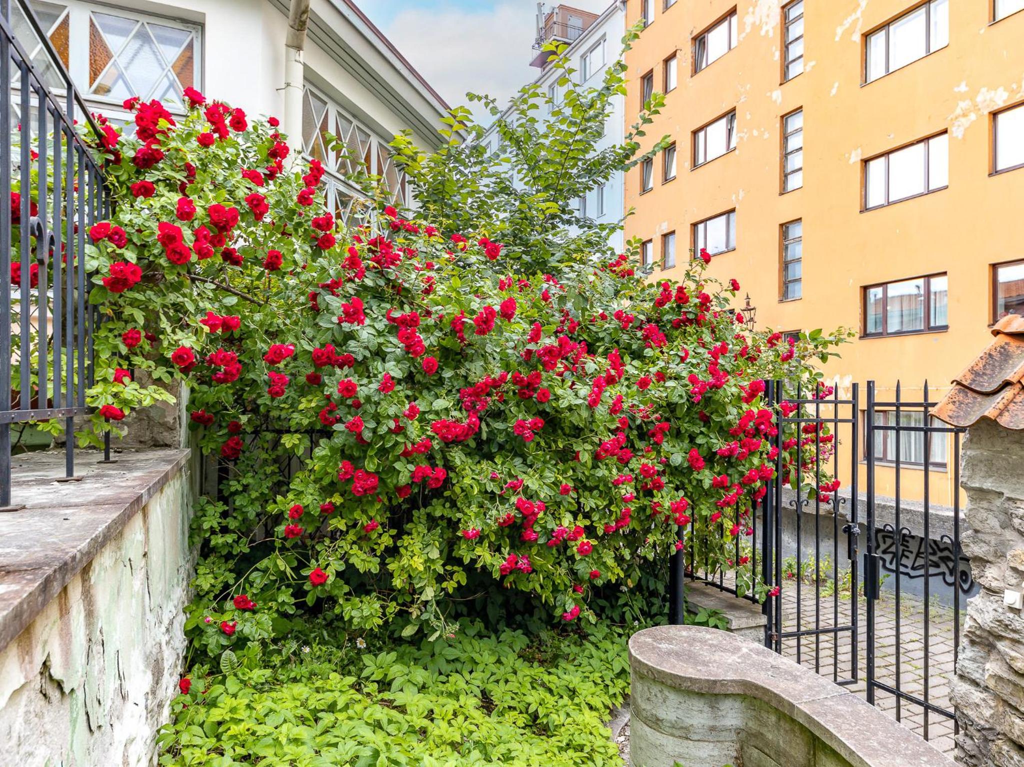 TallinnHousing Old Town Elegance Vana-Viru
