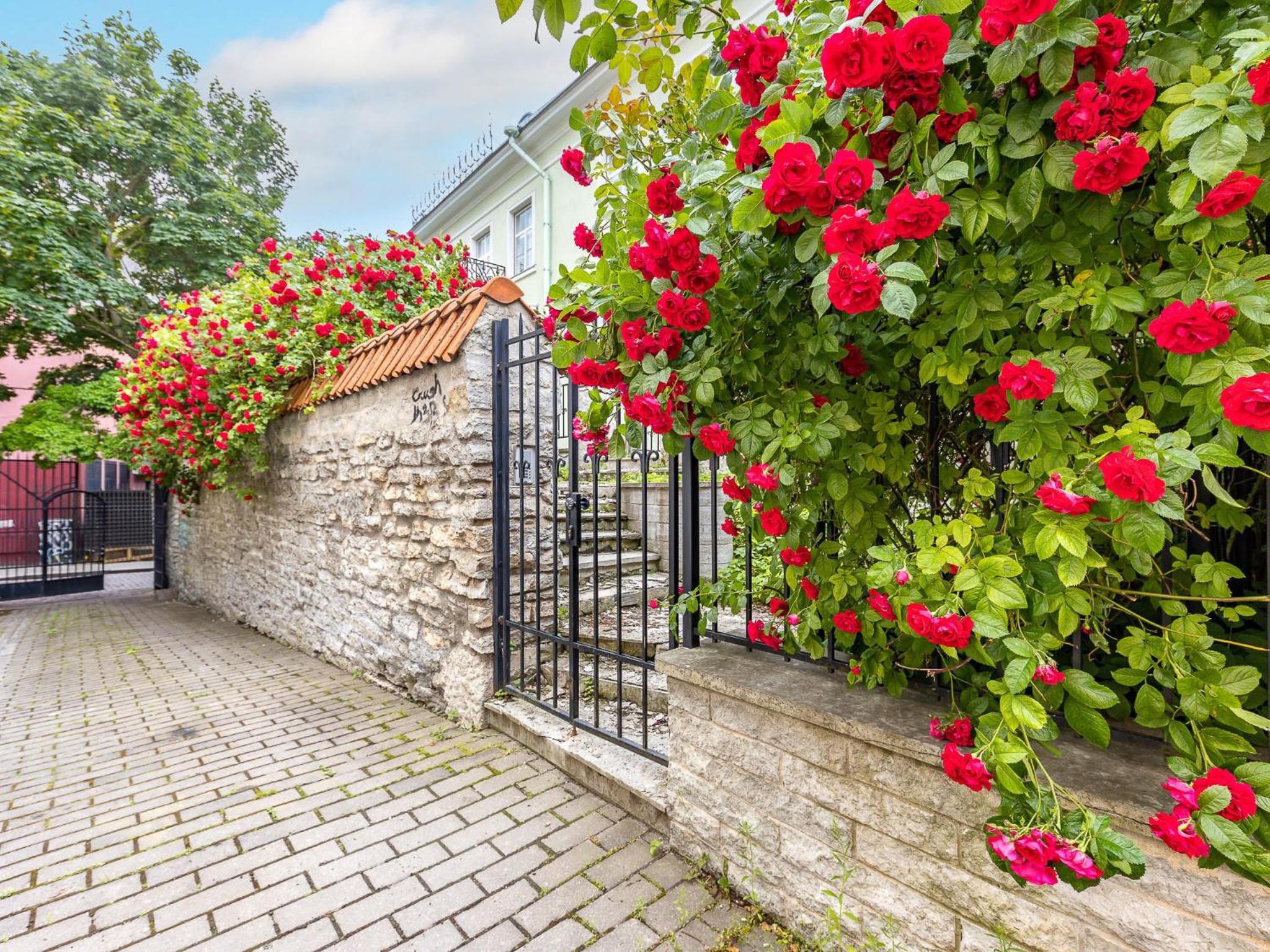 TallinnHousing Old Town Elegance Vana-Viru