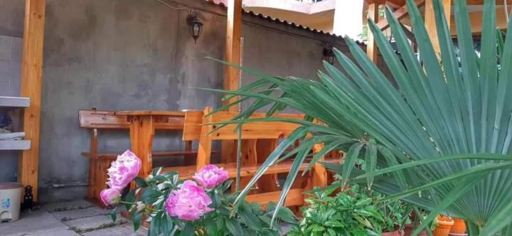 Heidi's - Summer villa Primorsko