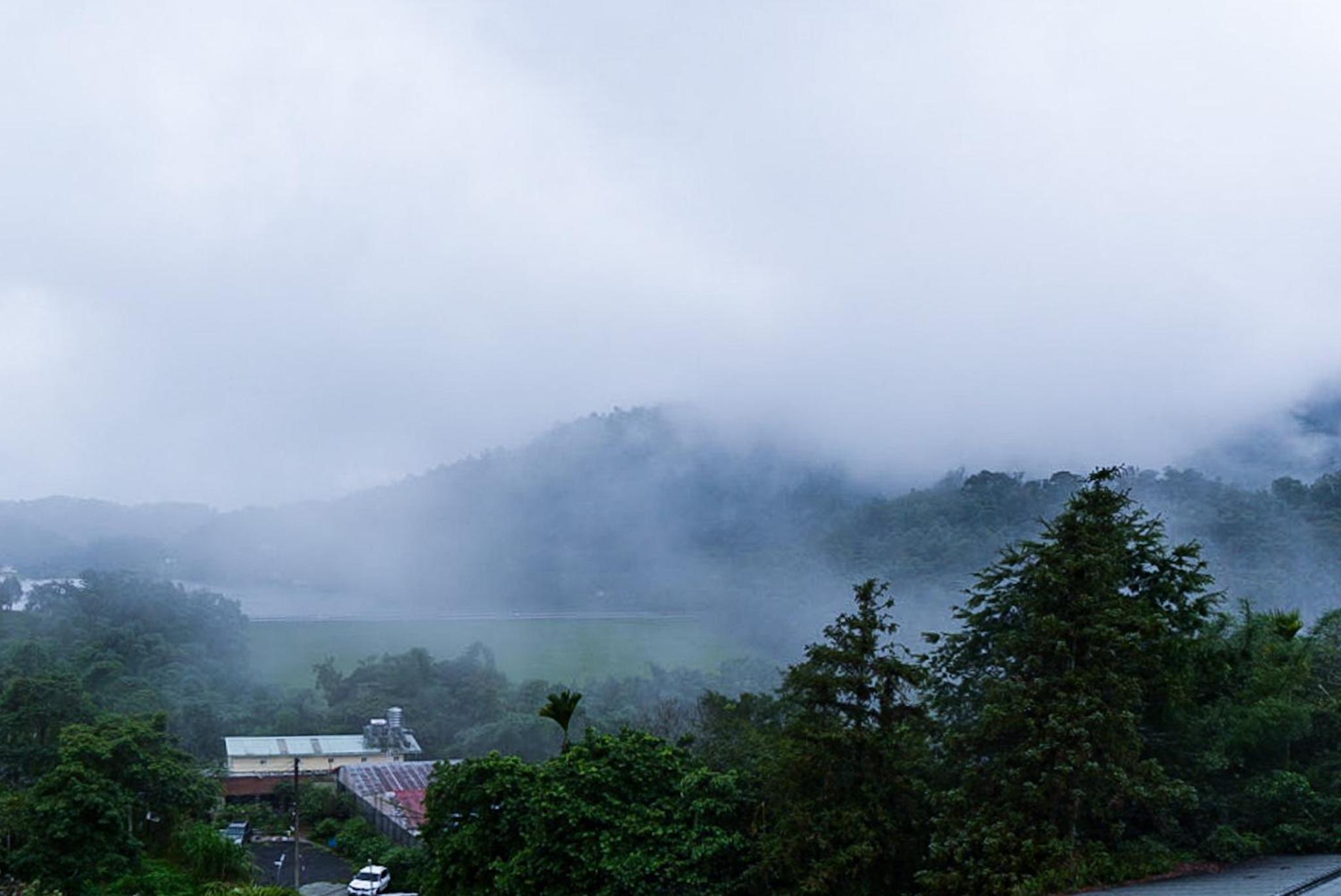 Zhaohong homestay