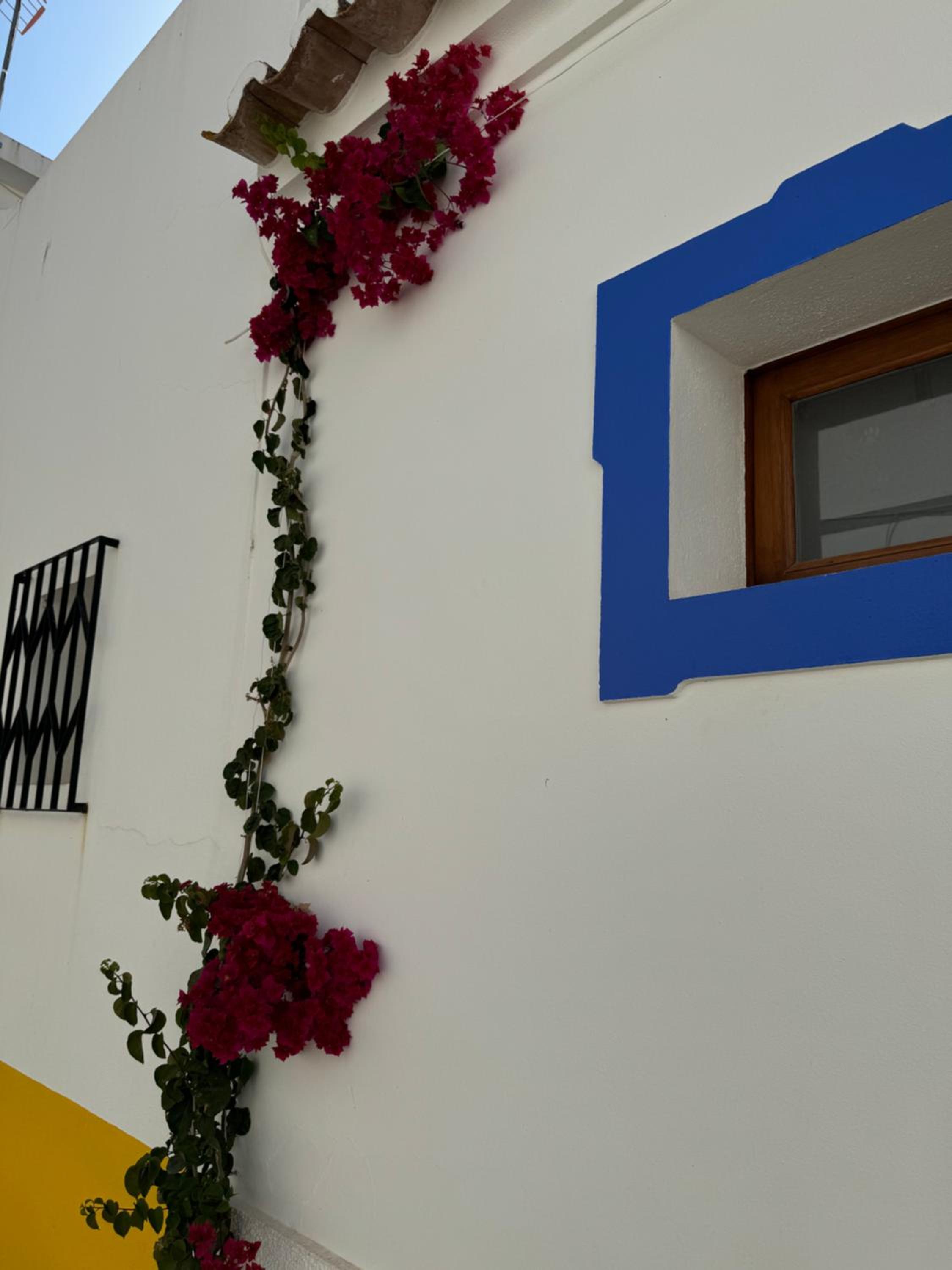 A Casinha view 3