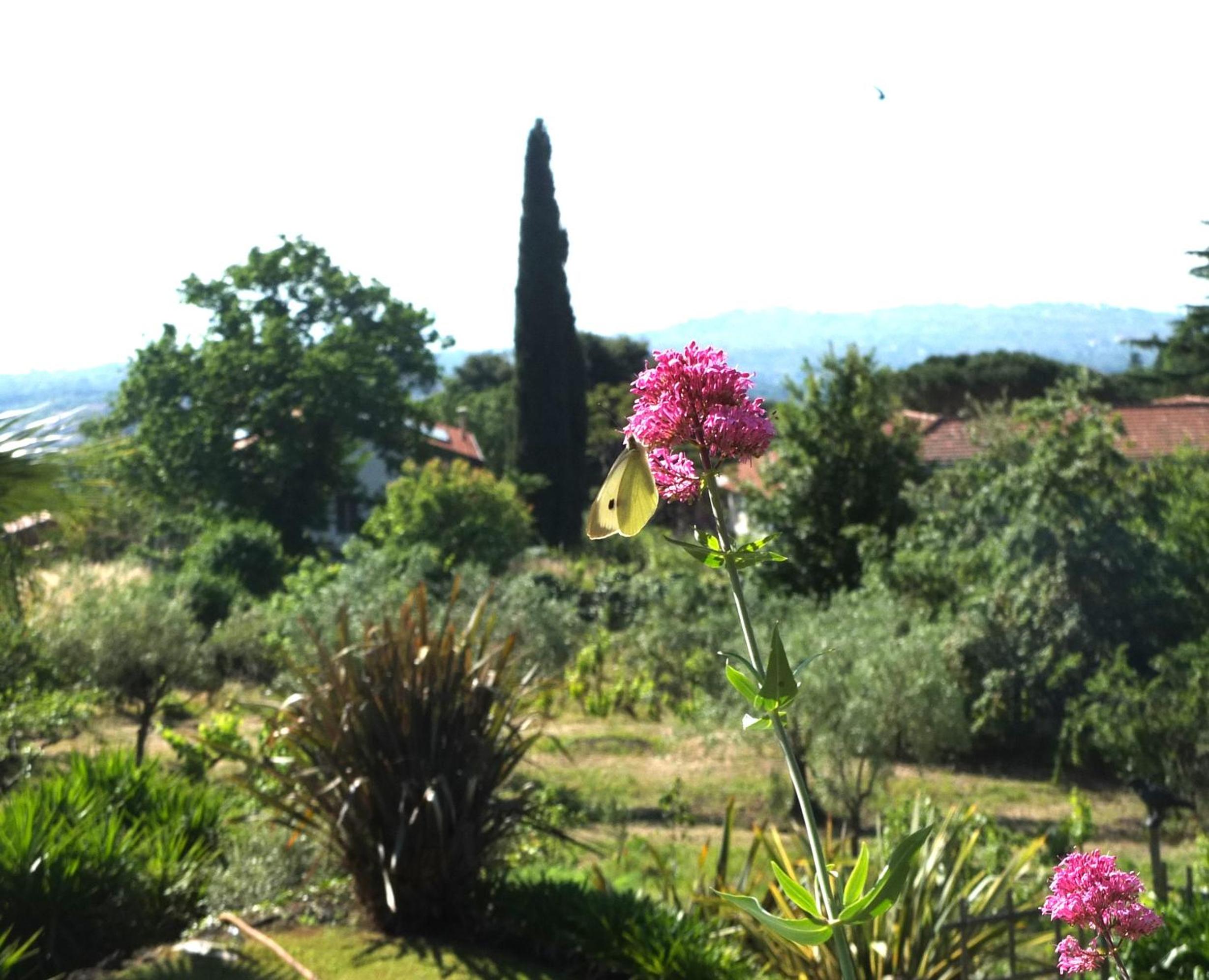 Uvatanta Cottage
