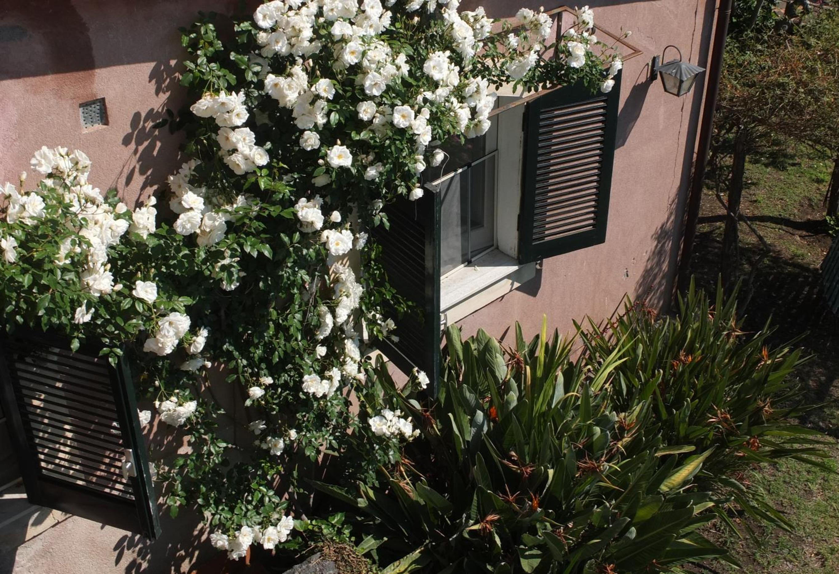 Uvatanta Cottage