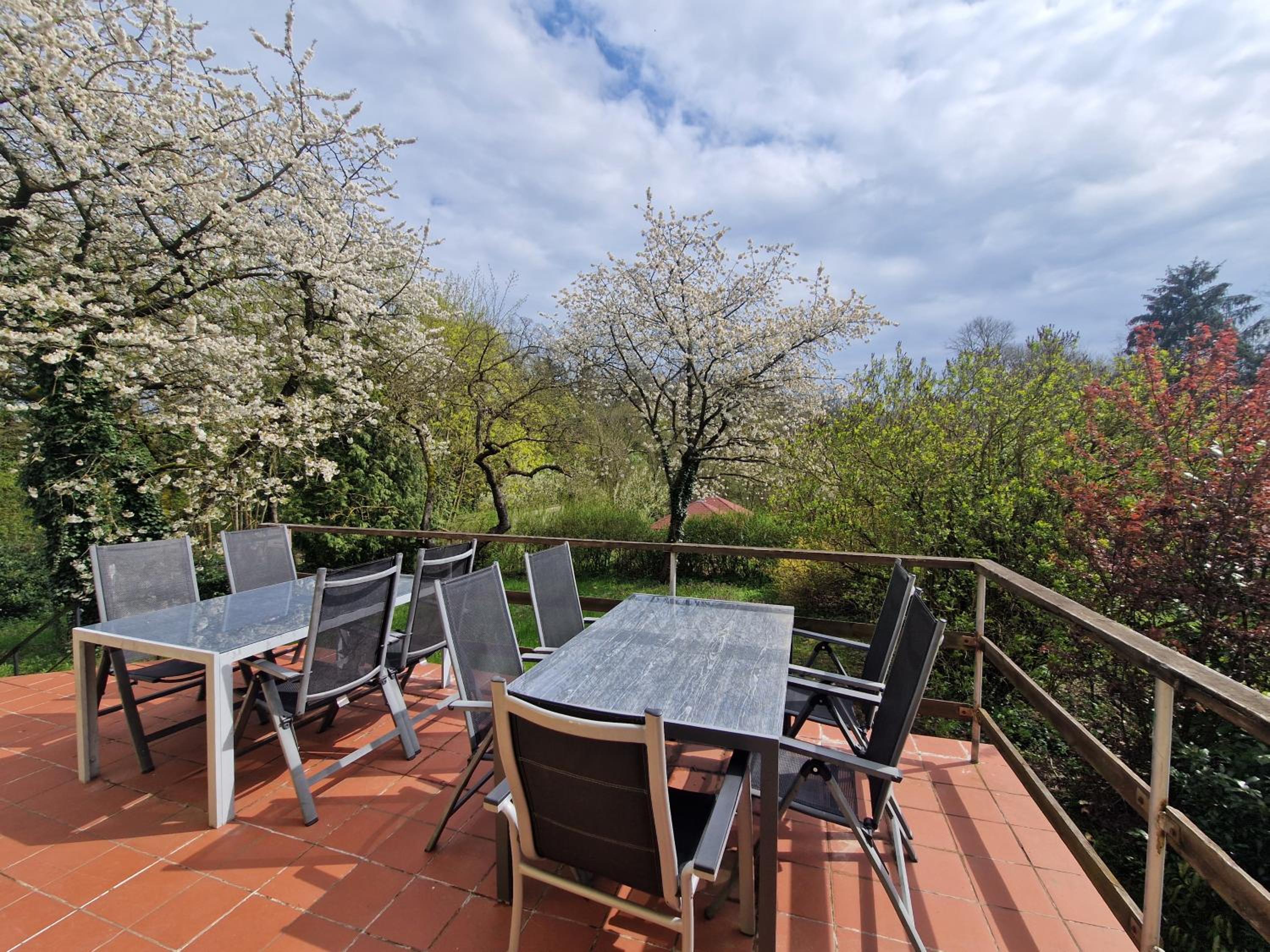 Business Apartments Netzeband
