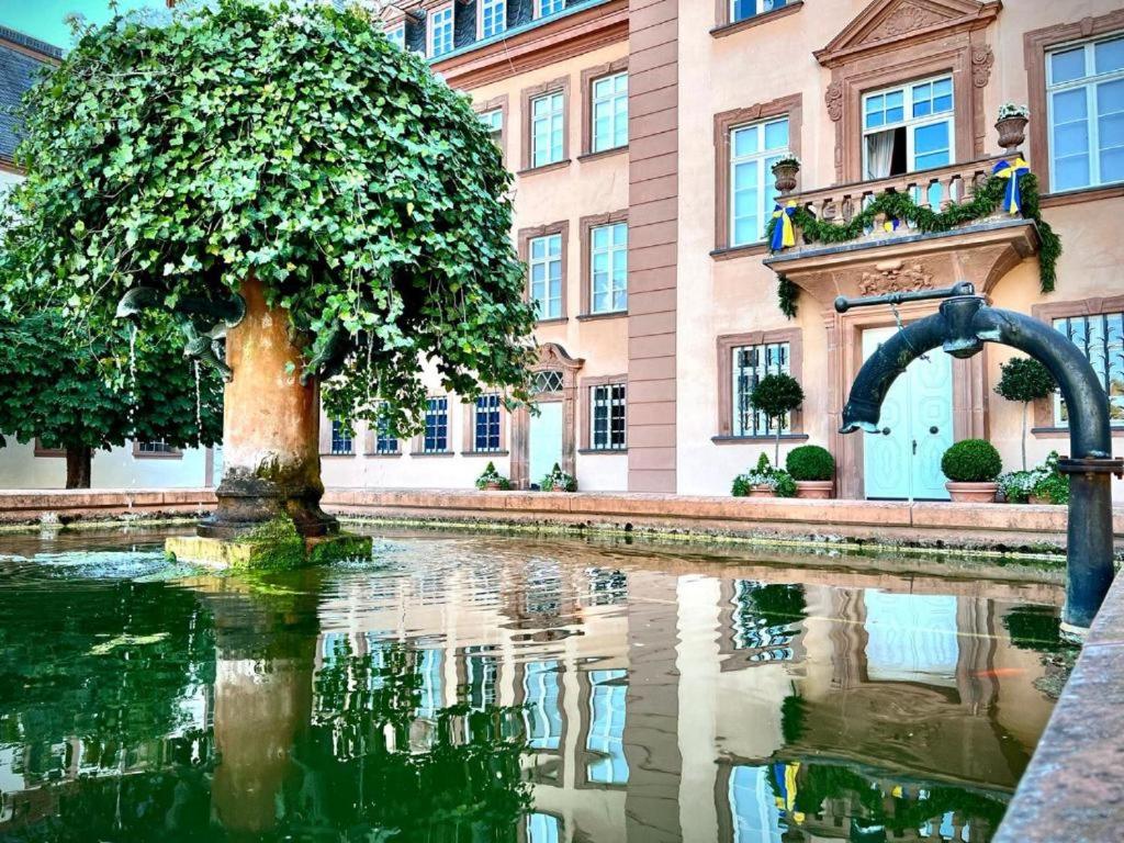 Stylische Wohnung, toller Ausblick Selbst-Check-in