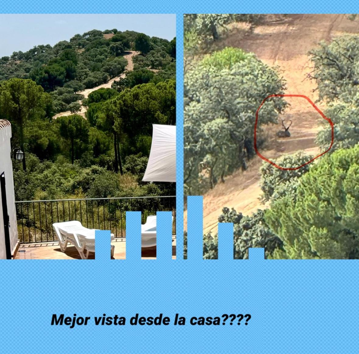Casa rural DOS ENCINAS