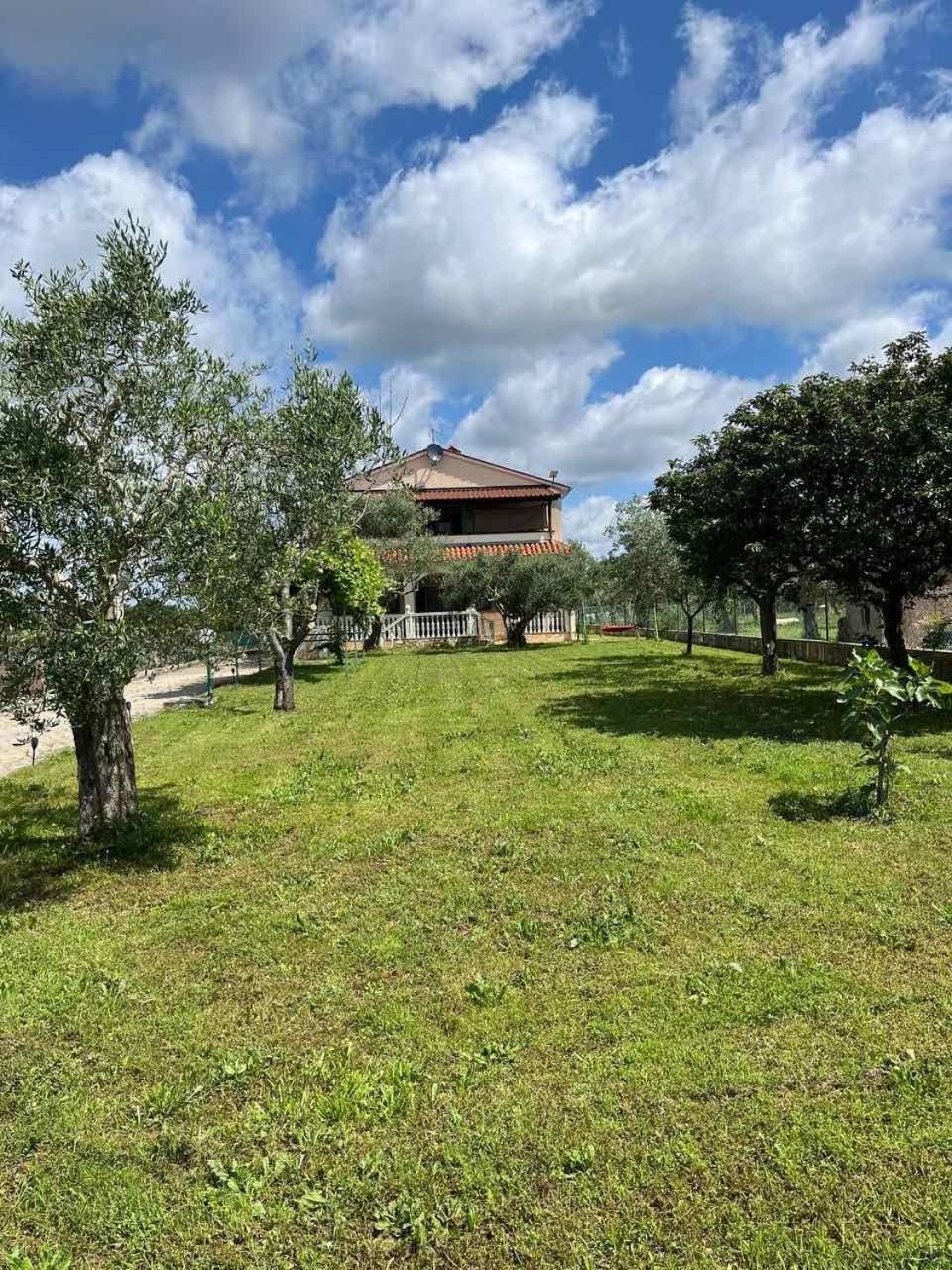 Monteci Apartment
