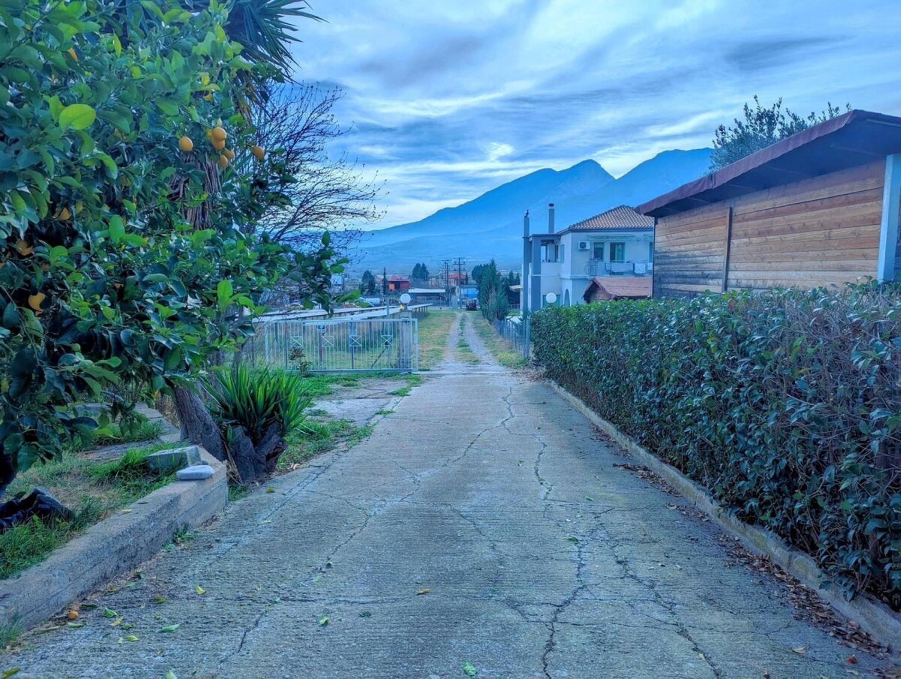 Photo 39