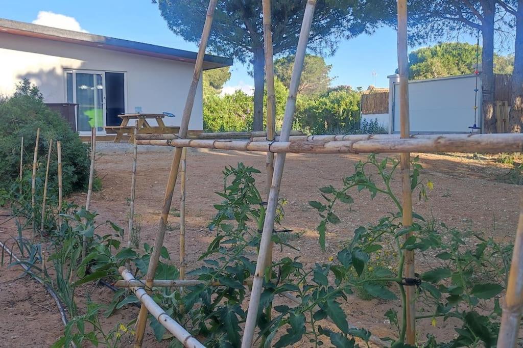 Casa Nueva a 2km de la playa view 2