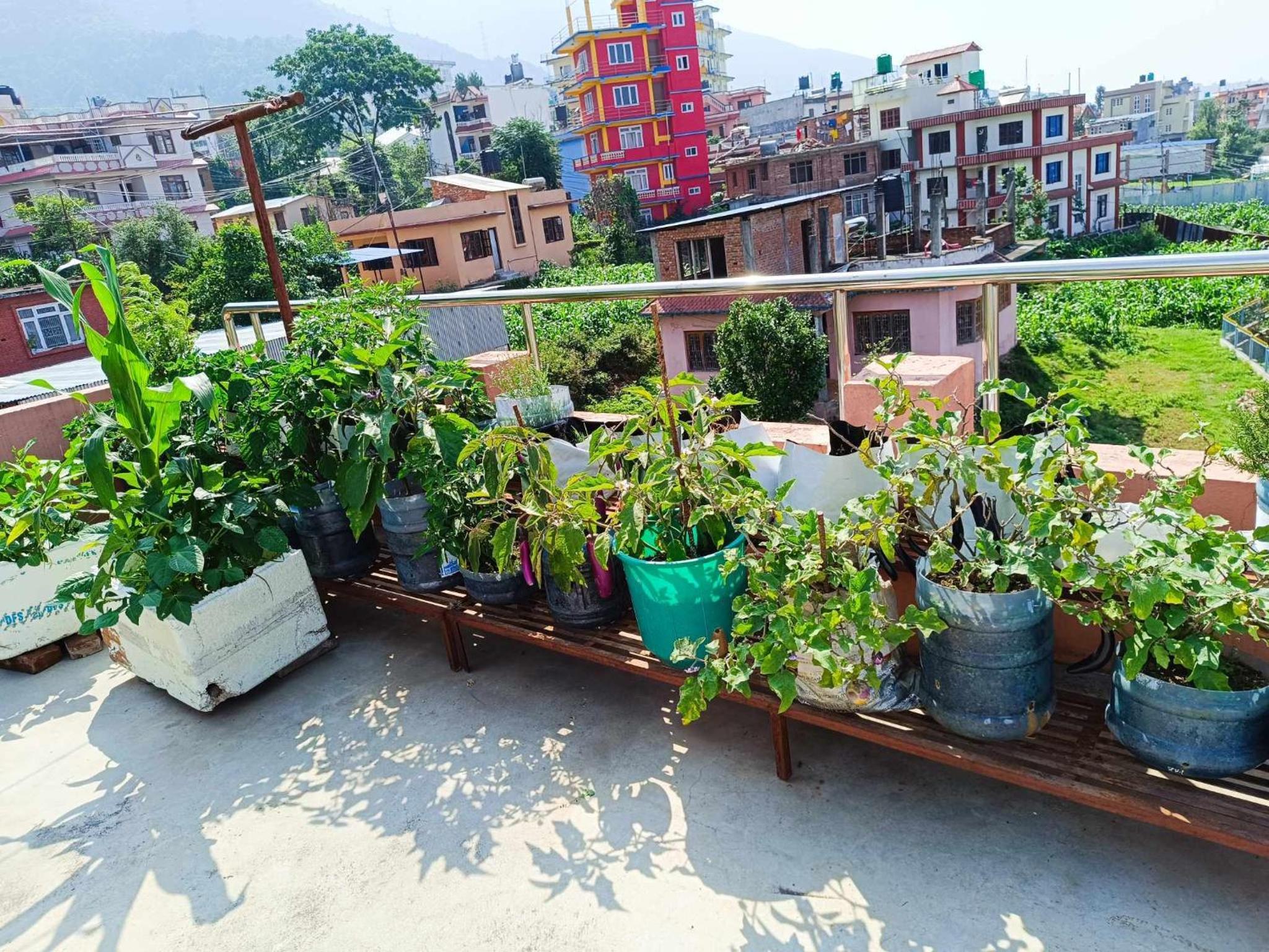 Matatirtha Community Homestay