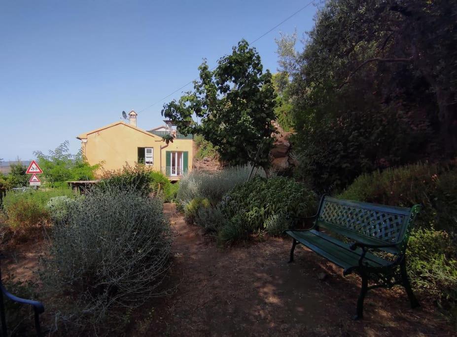 Montiano's garden view 3