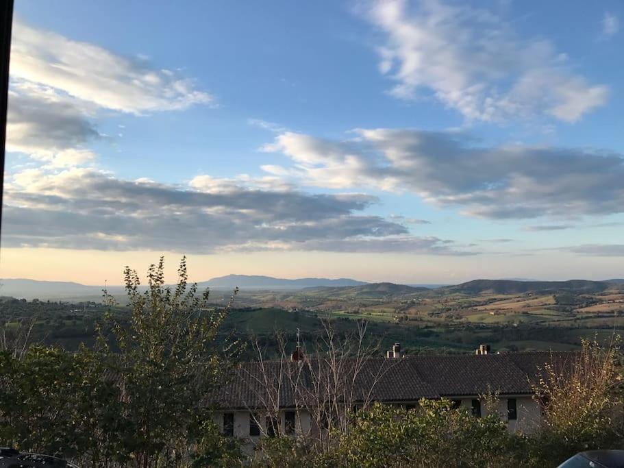 Montiano's garden view 5