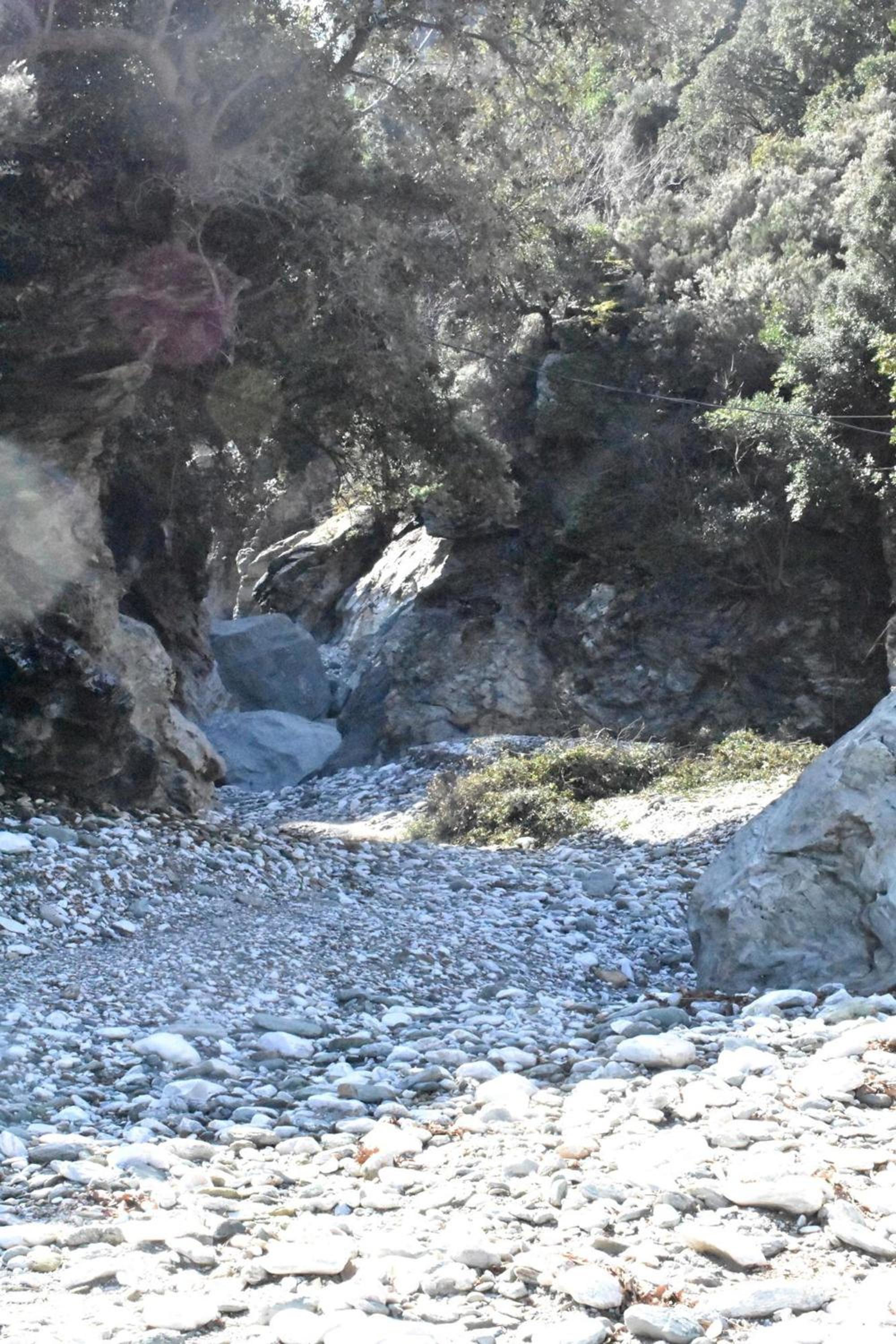 Photo 49