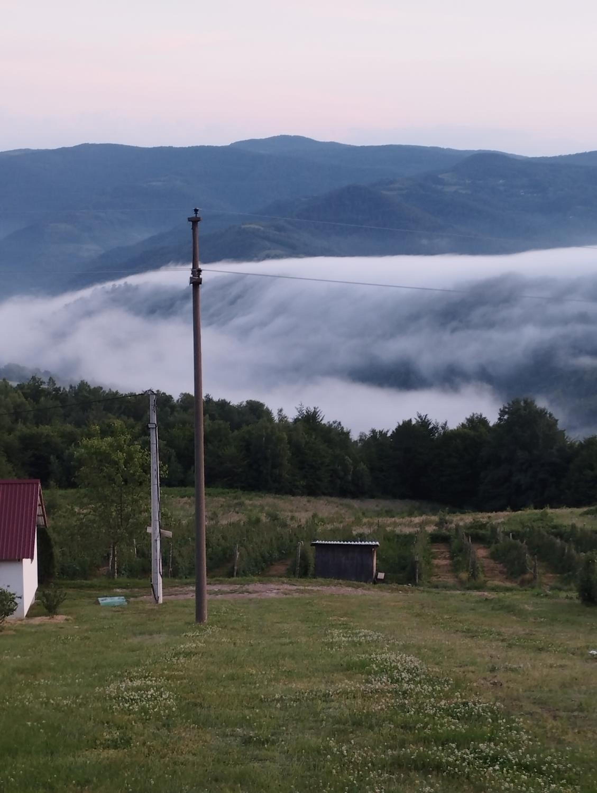 Brvnare Kušići