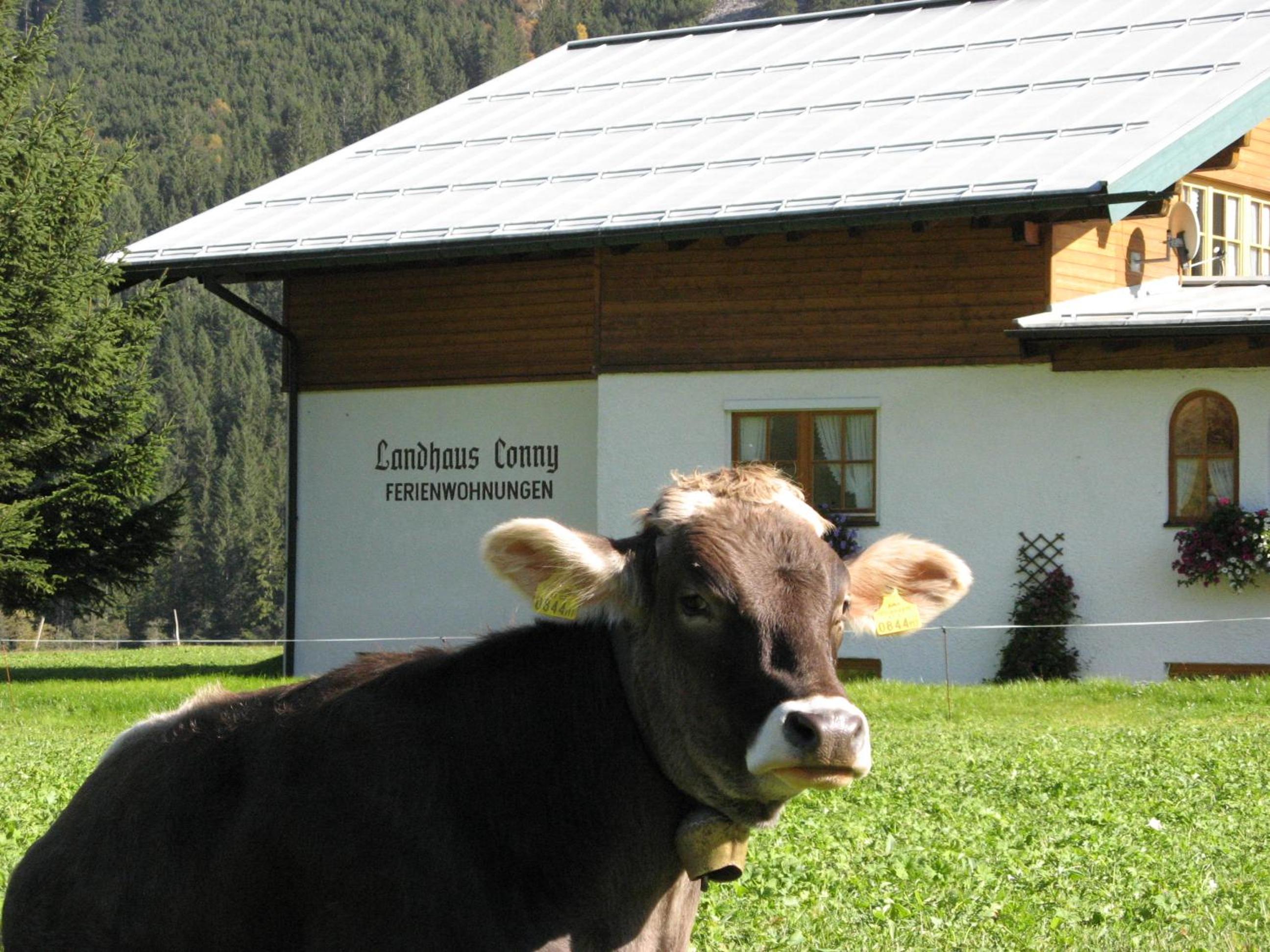 Landhaus Conny
